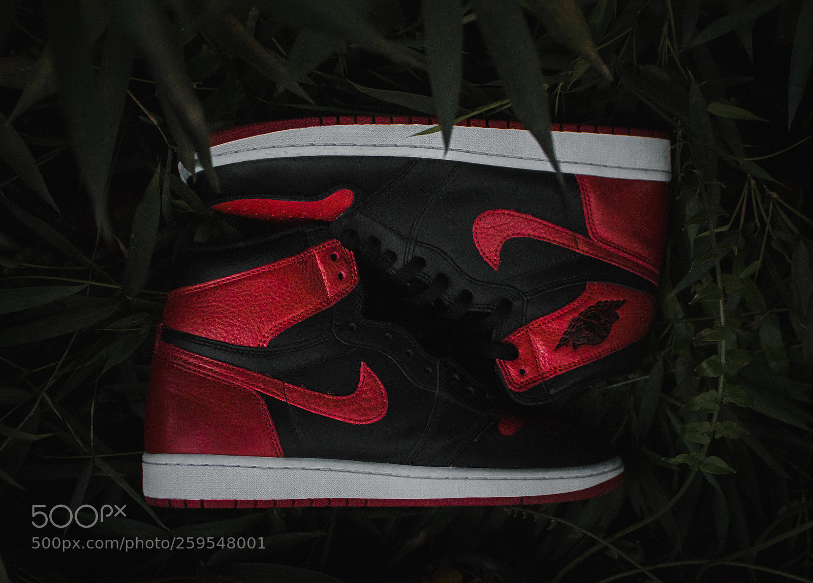 Canon EOS 700D (EOS Rebel T5i / EOS Kiss X7i) sample photo. Jordan 1 breds photography