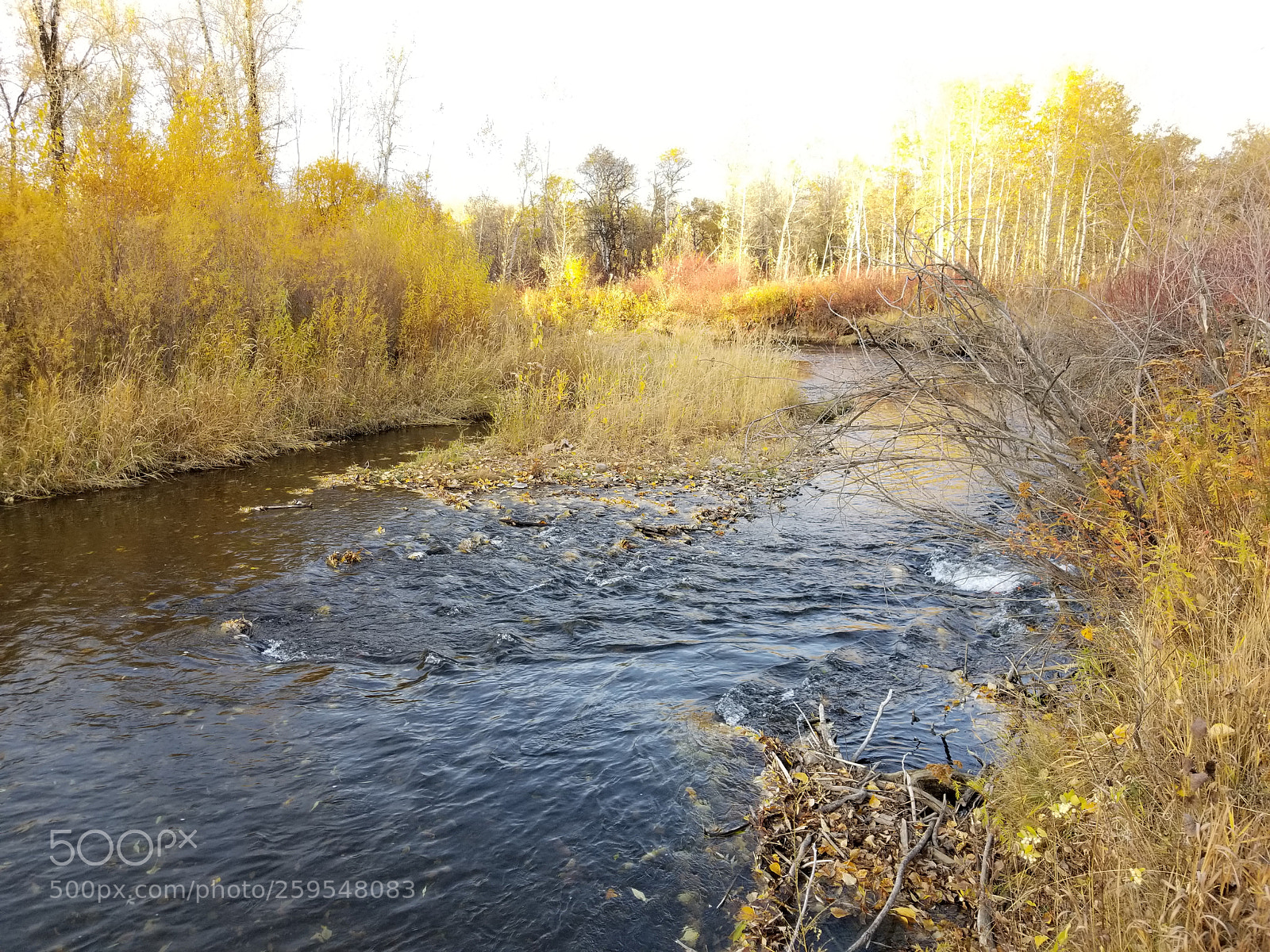 Samsung Galaxy S8+ sample photo. Island in the stream photography