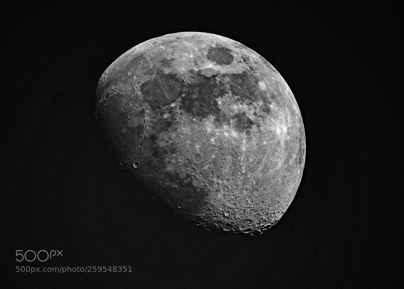 Nikon Coolpix P900 sample photo. The moon (b&w) photography