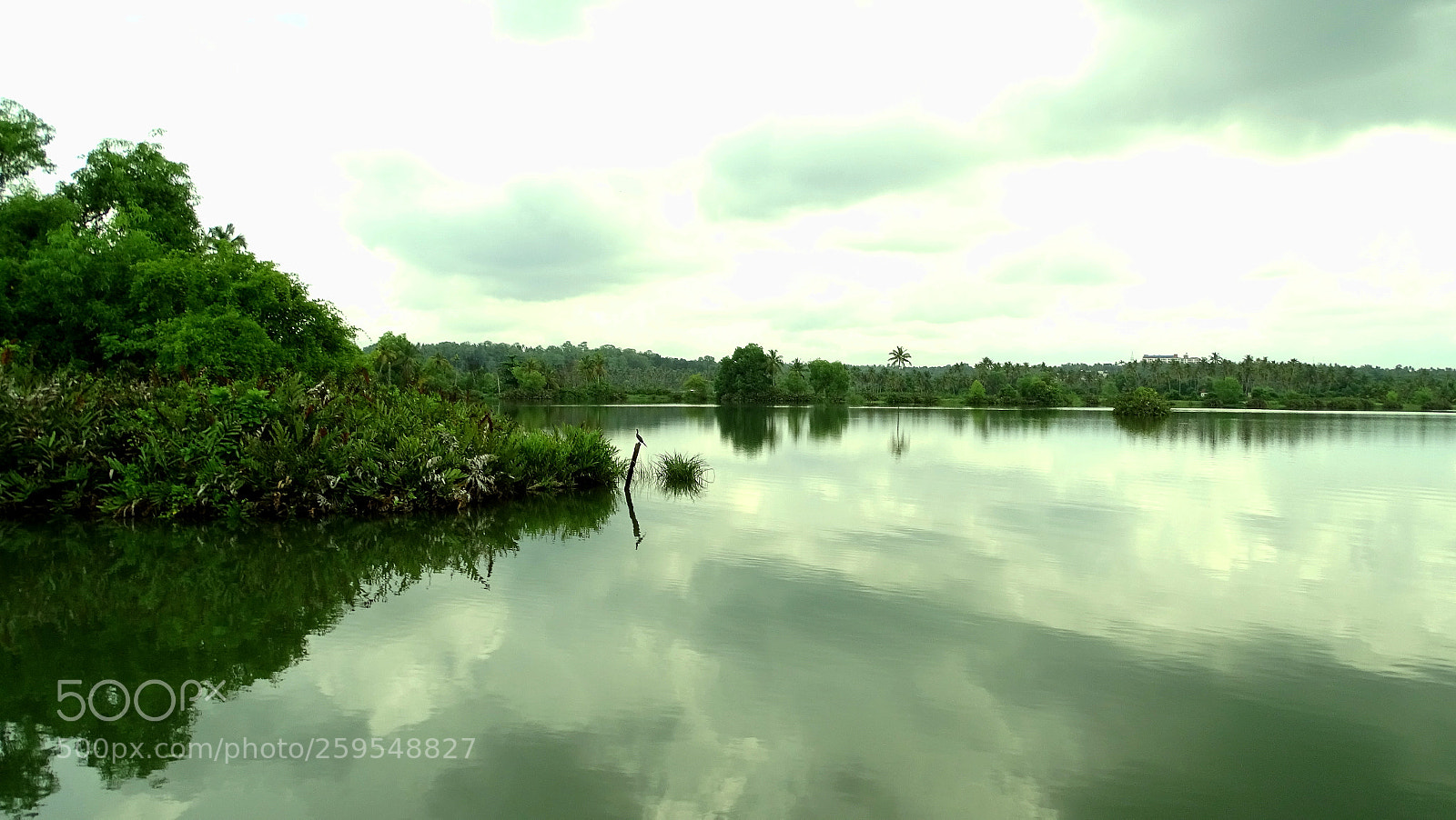 Sony Cyber-shot DSC-HX400V sample photo. Paravur lake photography