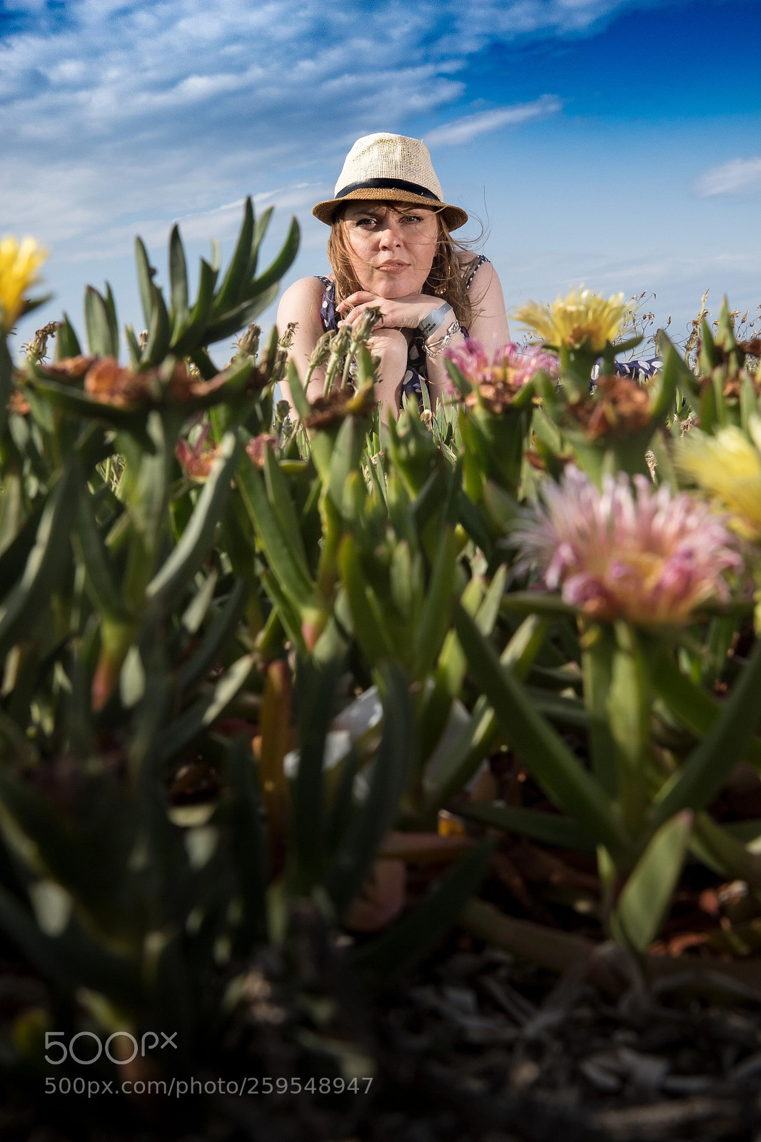 Canon EOS 7D Mark II sample photo. Desert rose photography