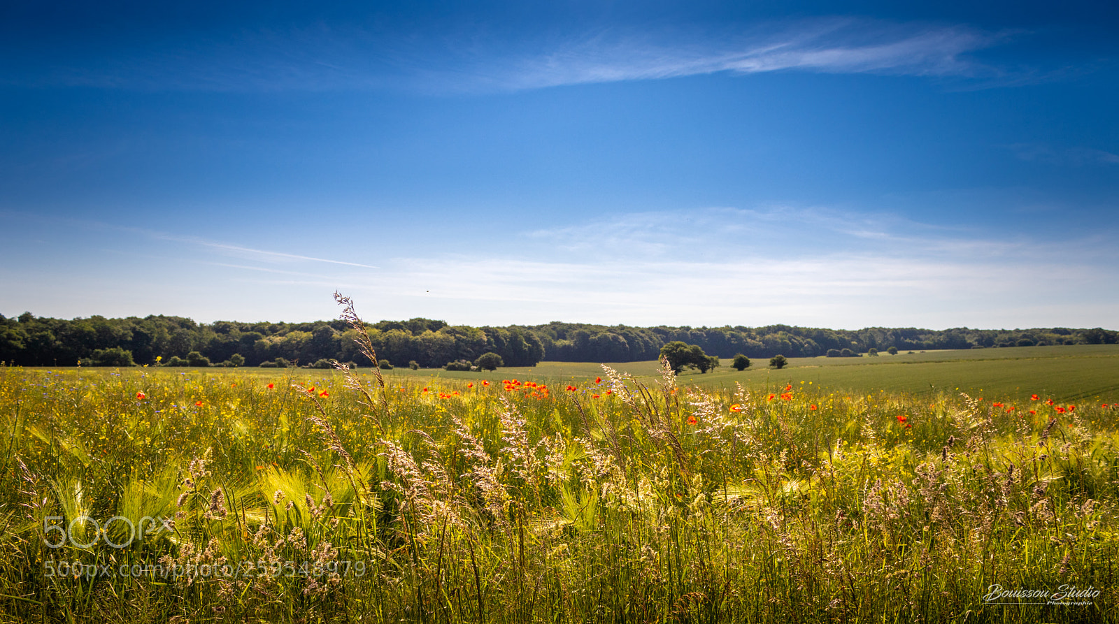 Canon EOS 80D sample photo. Notre belle nature photography