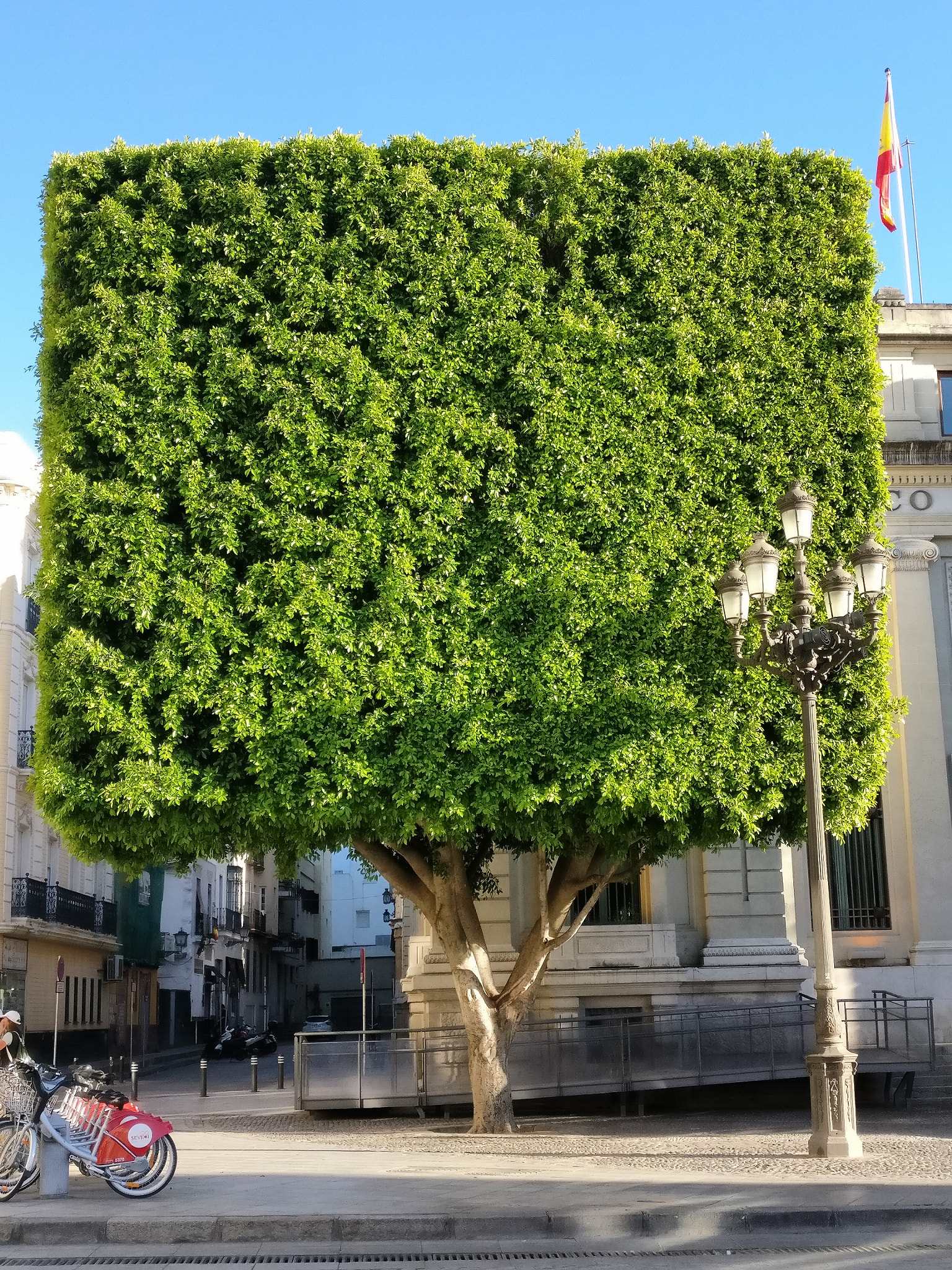 OnePlus A3003 sample photo. Tree-cube photography