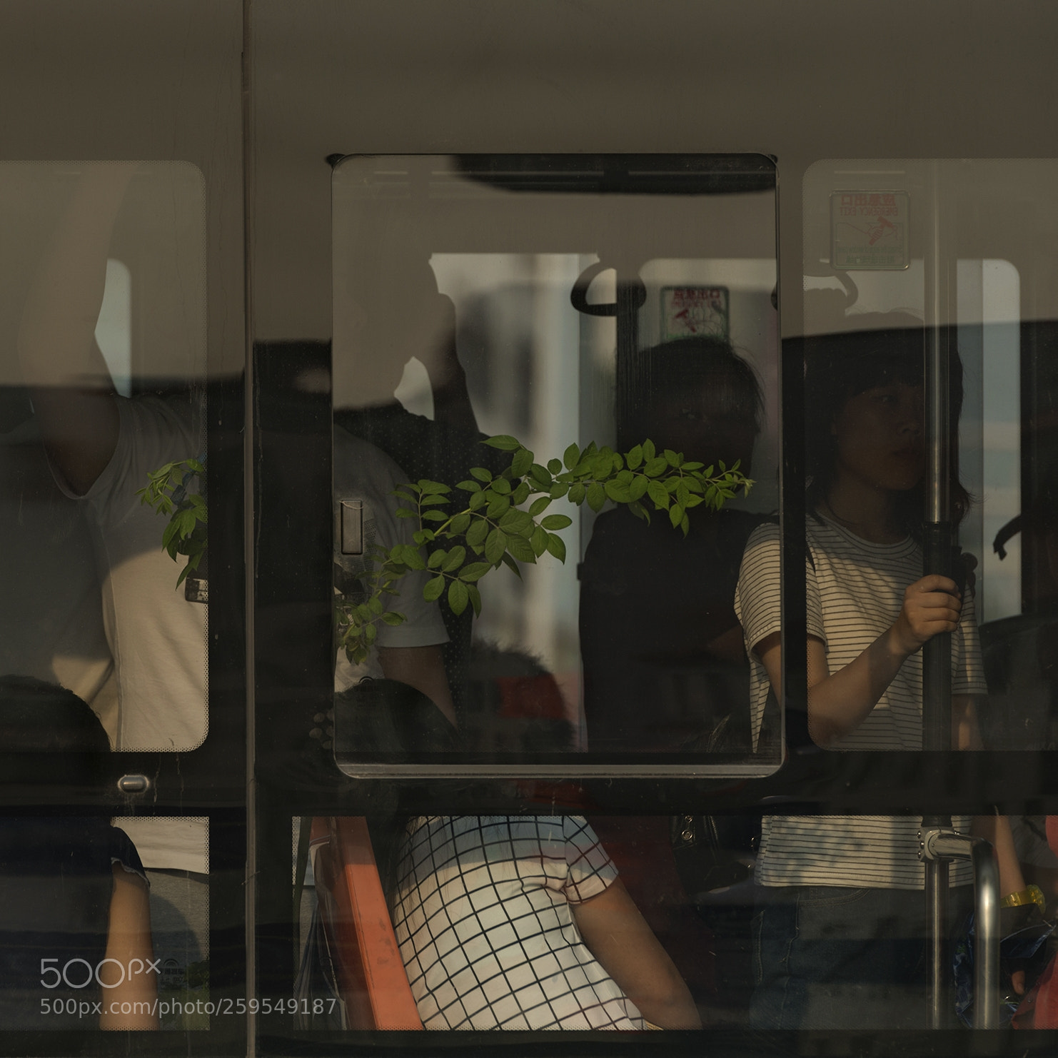 Nikon D800 sample photo. Untitled photography