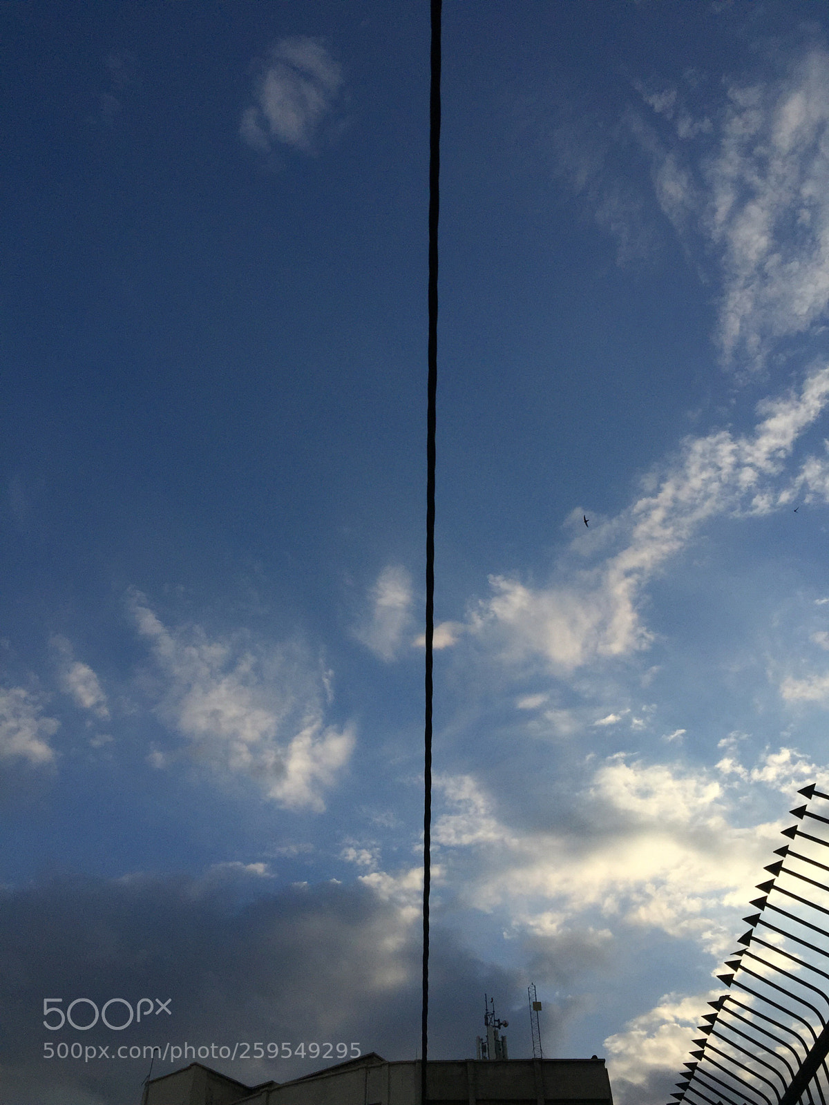 Apple iPhone 6 sample photo. Road photography