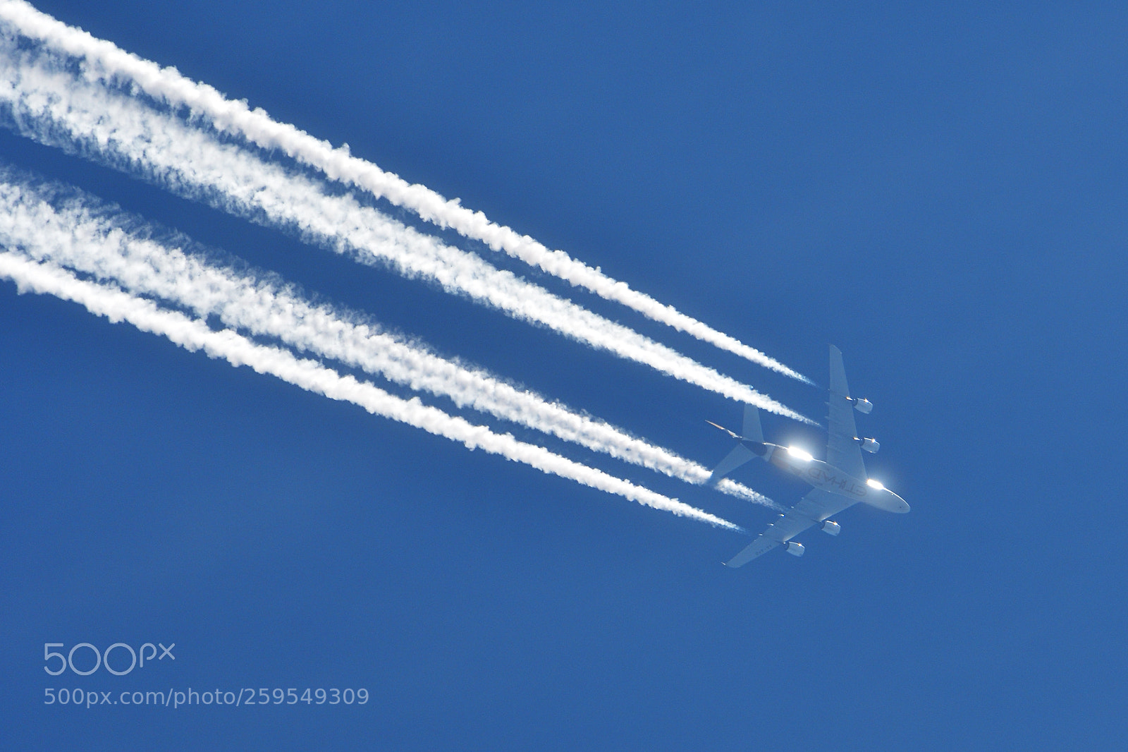 Nikon D500 sample photo. Airbus flash photography