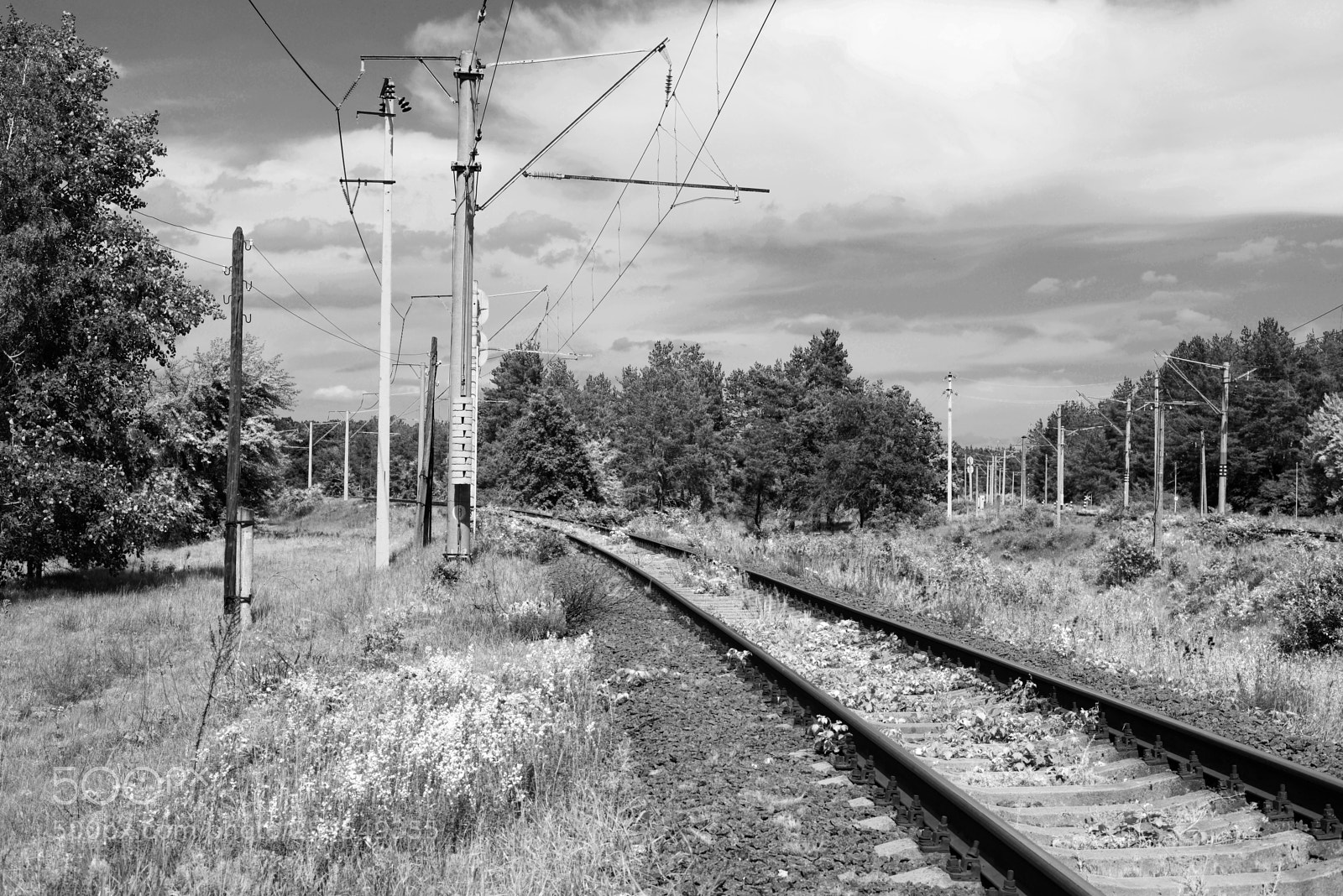 Nikon D610 sample photo. # # # photography