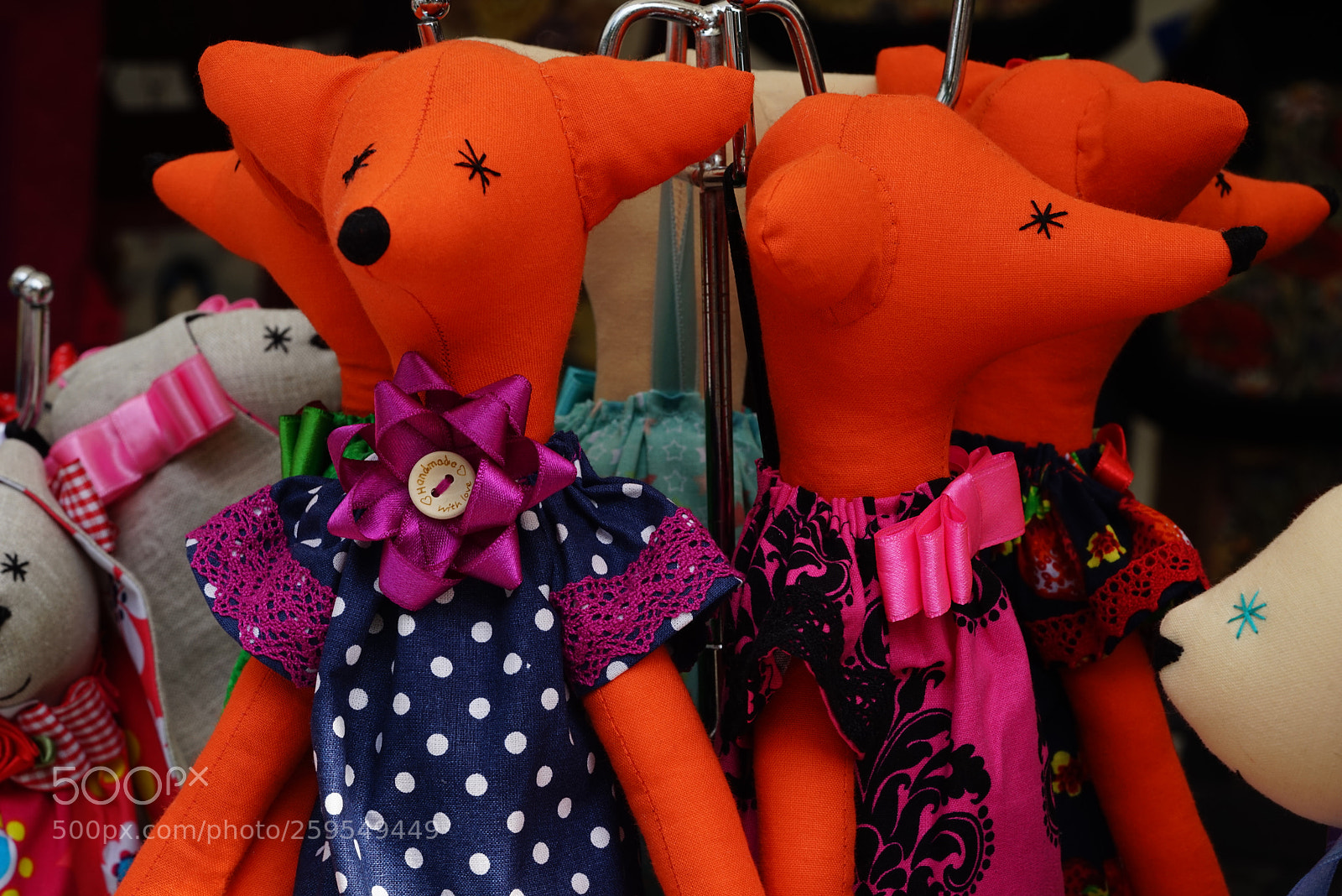 Sony a7R sample photo. Dsc photography