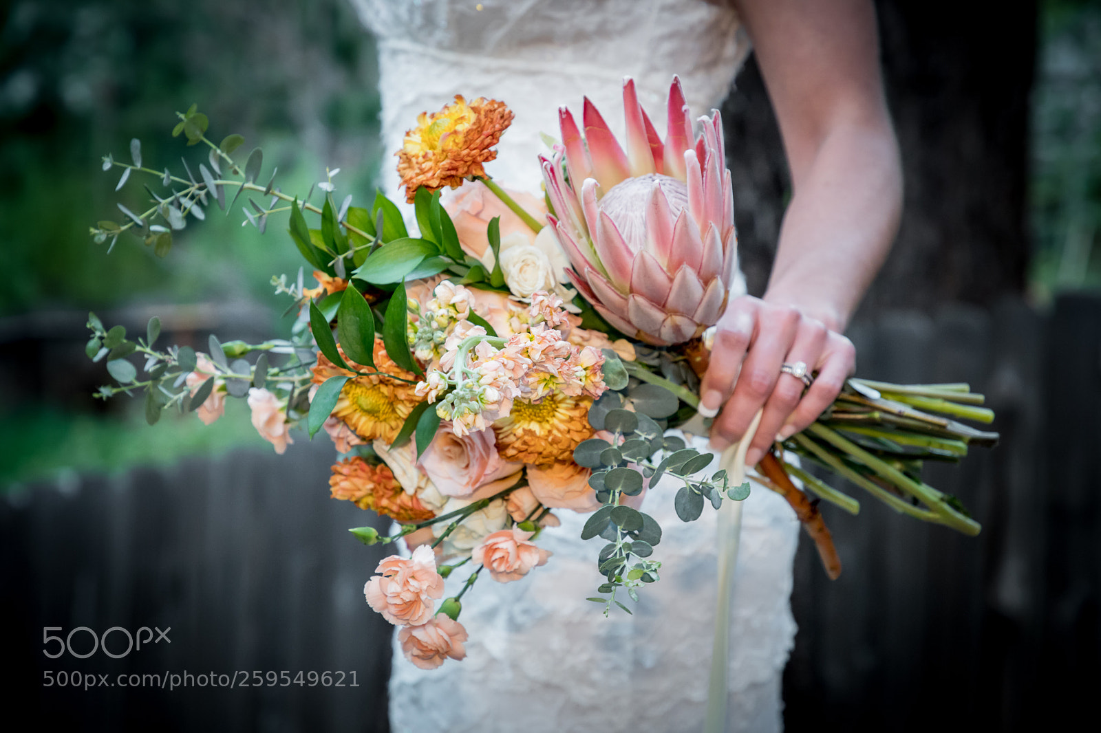 Canon EOS 6D Mark II sample photo. Haven floral photography