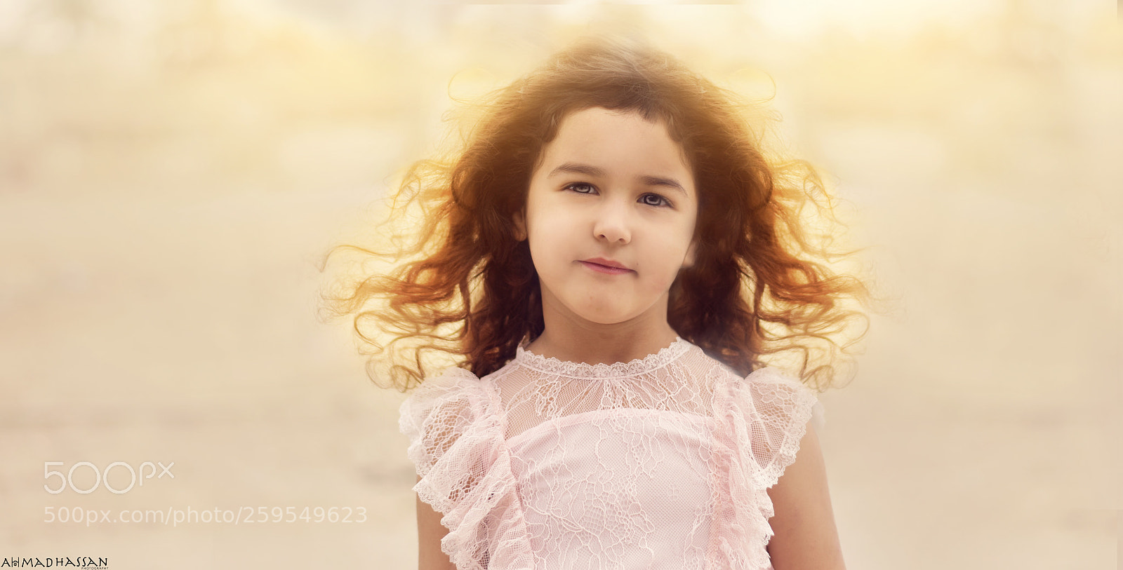 Nikon D750 sample photo. Golden hair photography