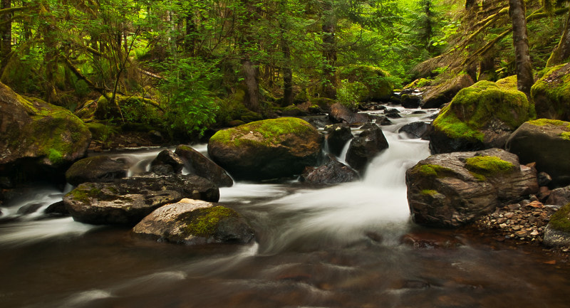 Nikon D300S + Sigma 17-70mm F2.8-4 DC Macro OS HSM | C sample photo. Calmness photography