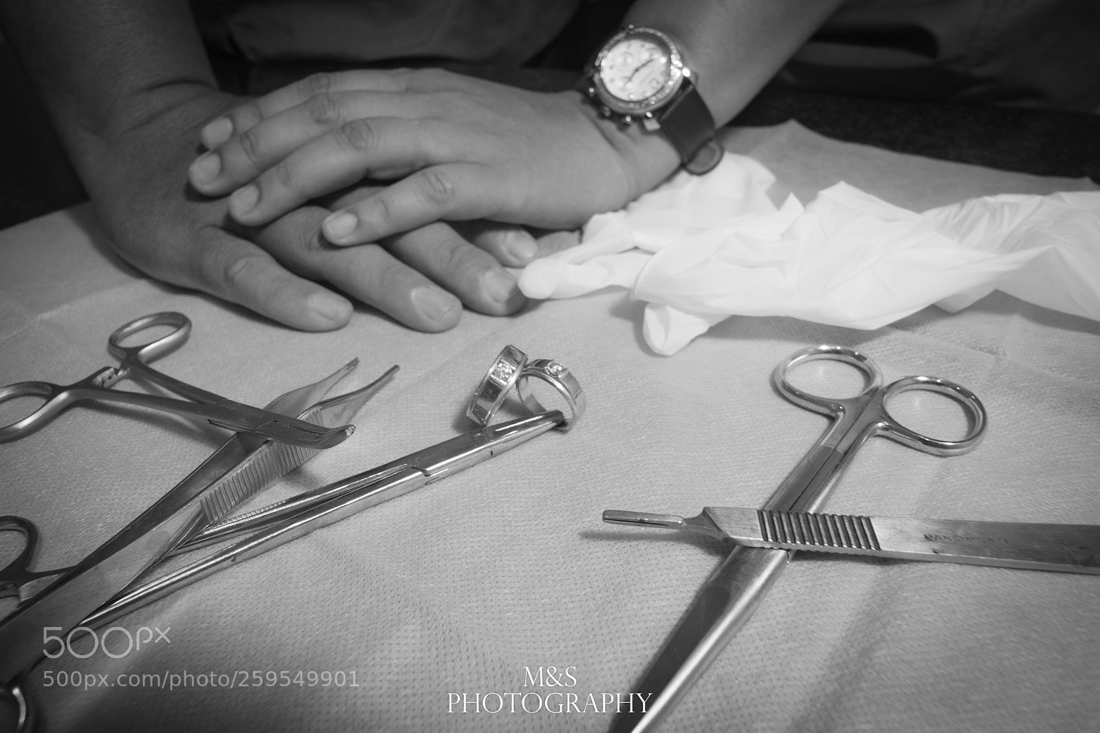 Canon EOS 7D Mark II sample photo. We are veterinarians photography