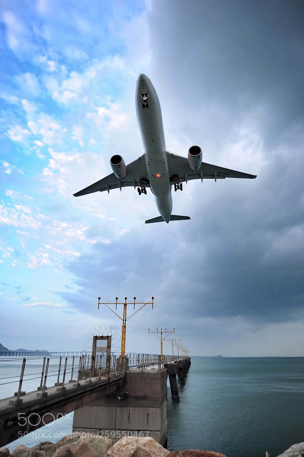 Nikon D700 sample photo. Flying between sunny and photography