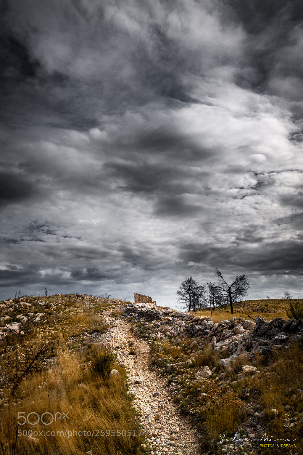 Canon EOS 50D sample photo. Camins de muntanya photography