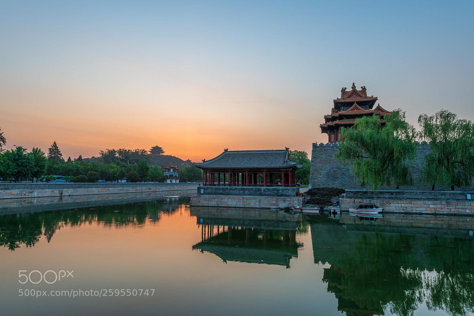 Nikon D850 sample photo. The palace museum photography