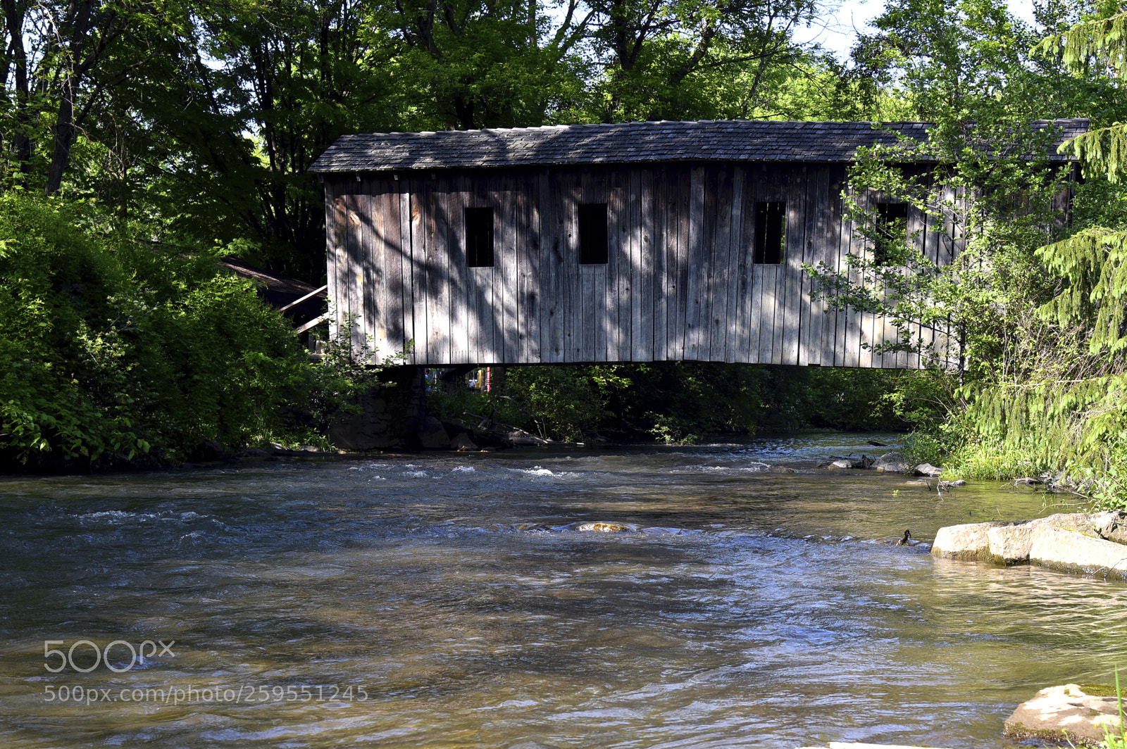 Nikon D750 sample photo. The bridge photography