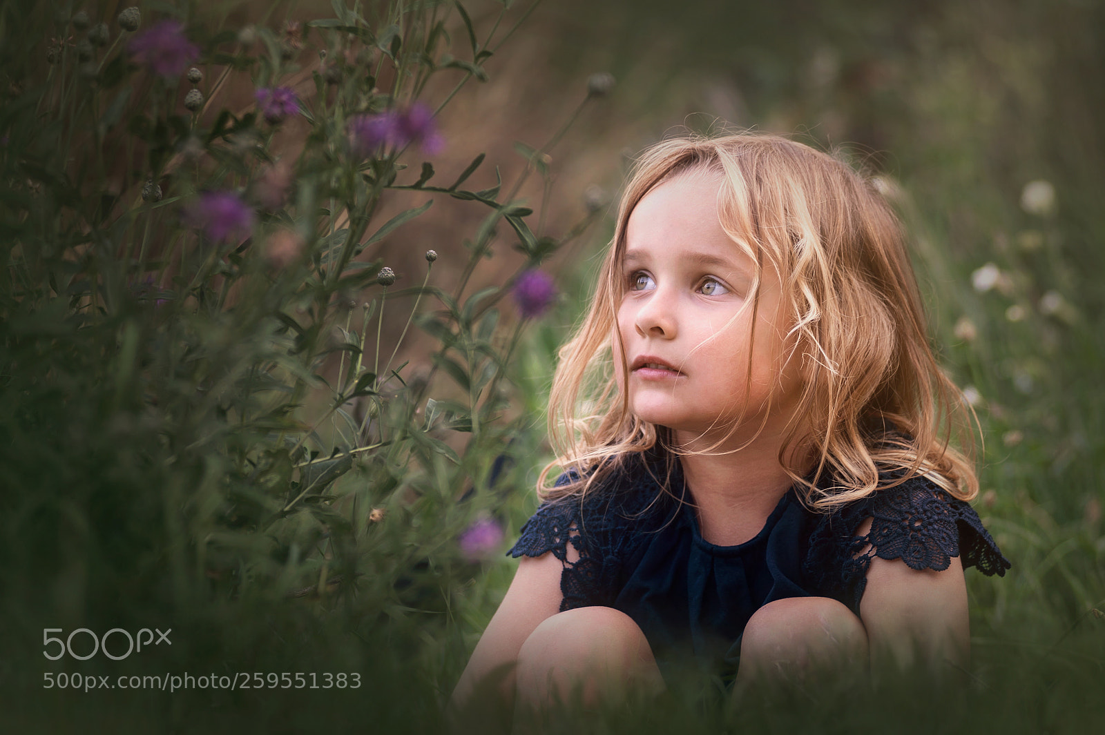 Nikon D700 sample photo. Melinka photography
