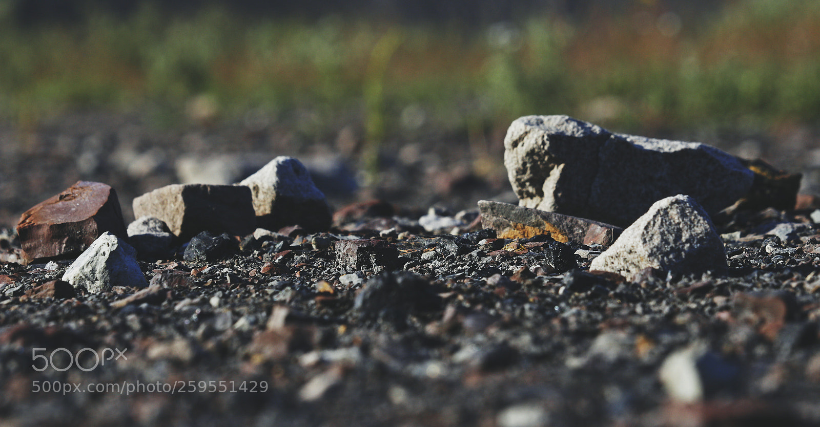 Canon EOS 700D (EOS Rebel T5i / EOS Kiss X7i) sample photo. Untitled photography
