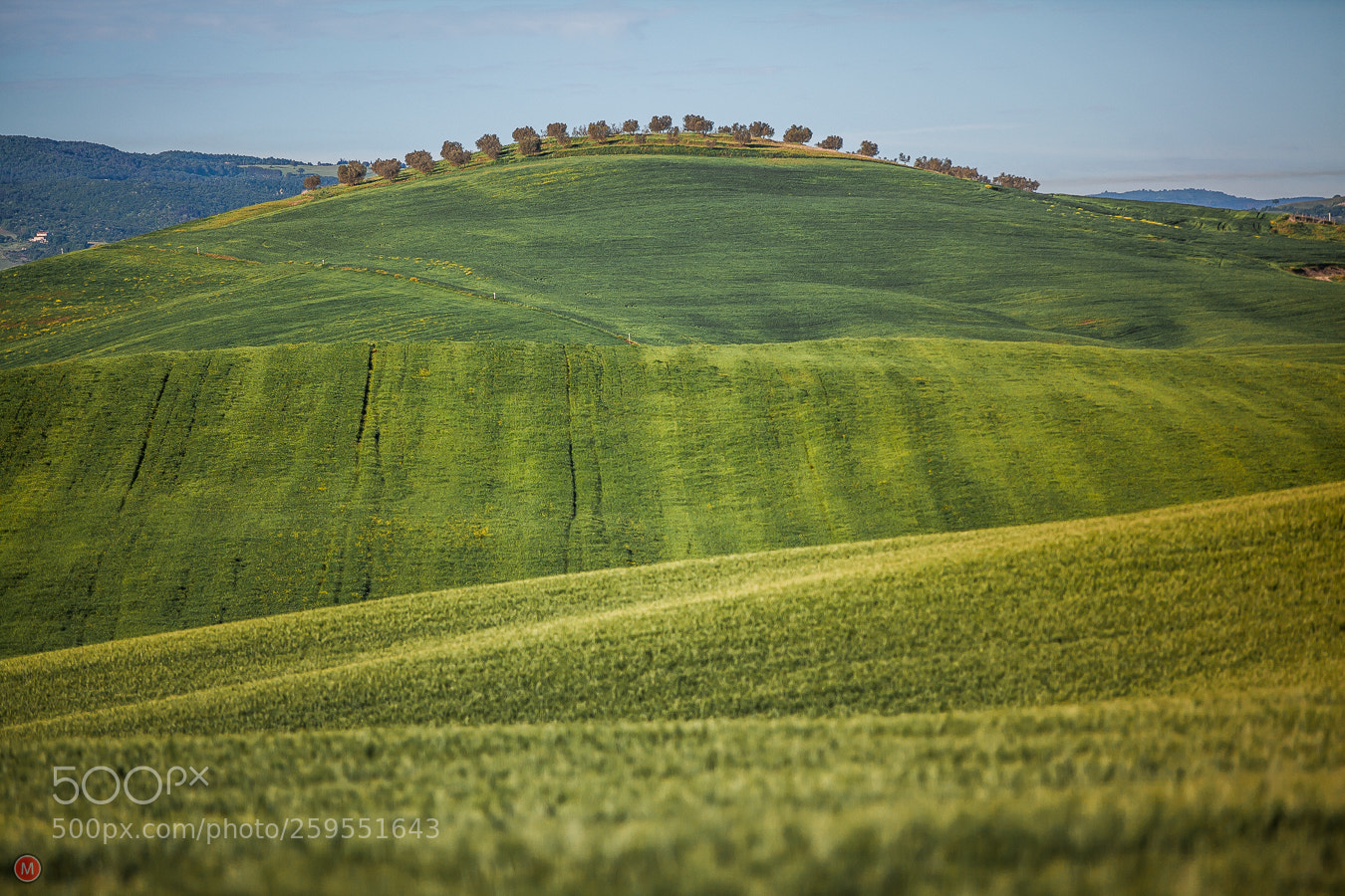 Canon EOS 5D Mark II sample photo. Fields near pienza, toscana photography