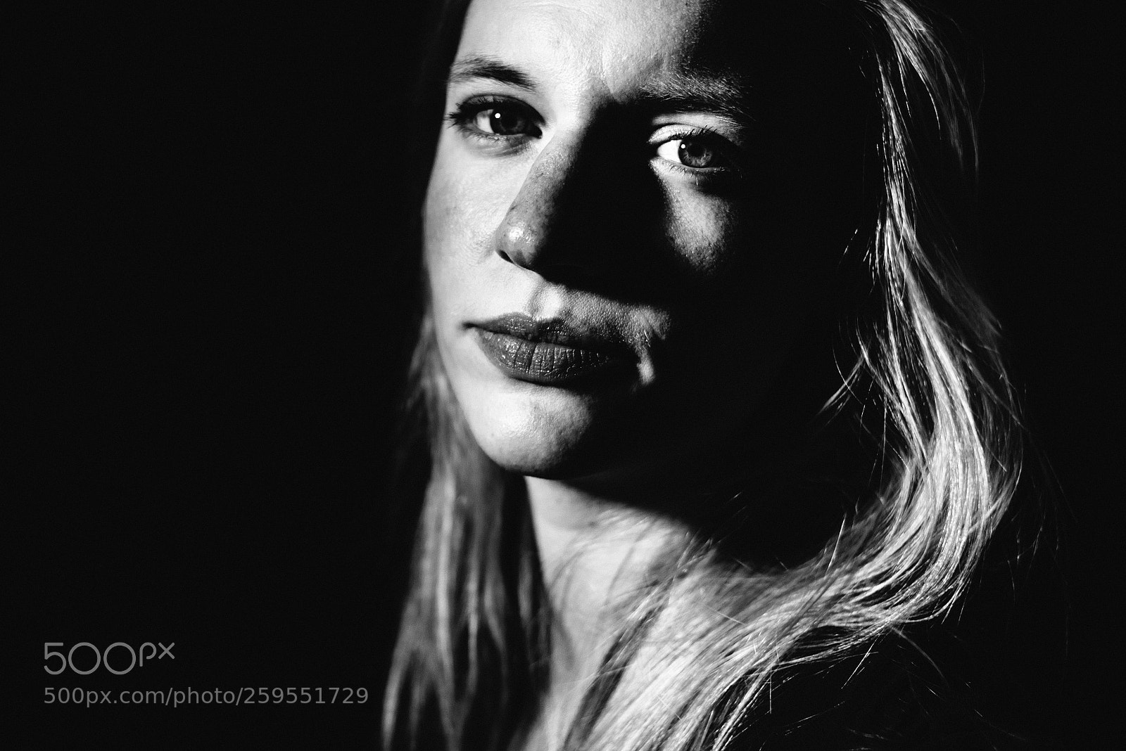 Nikon D750 sample photo. Hg7_6414-2.jpg photography