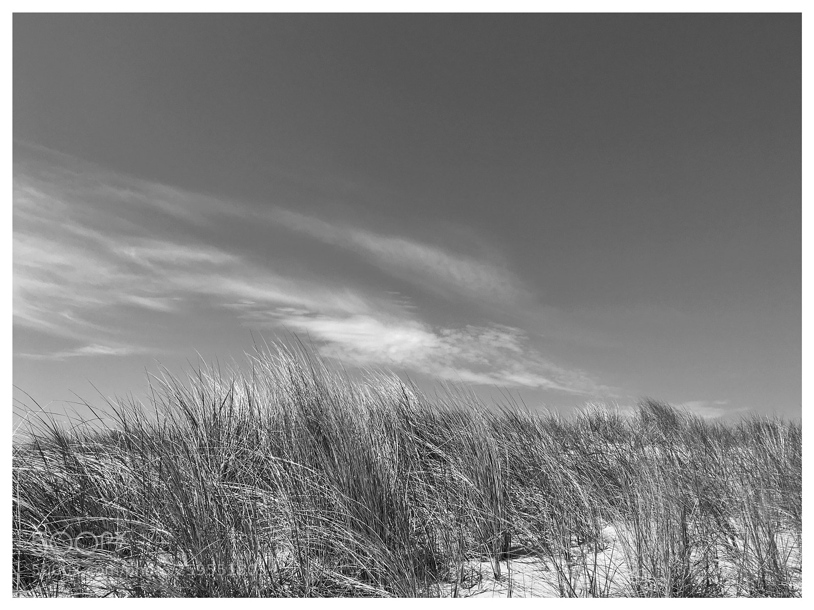 Apple iPhone SE sample photo. Ostsee photography