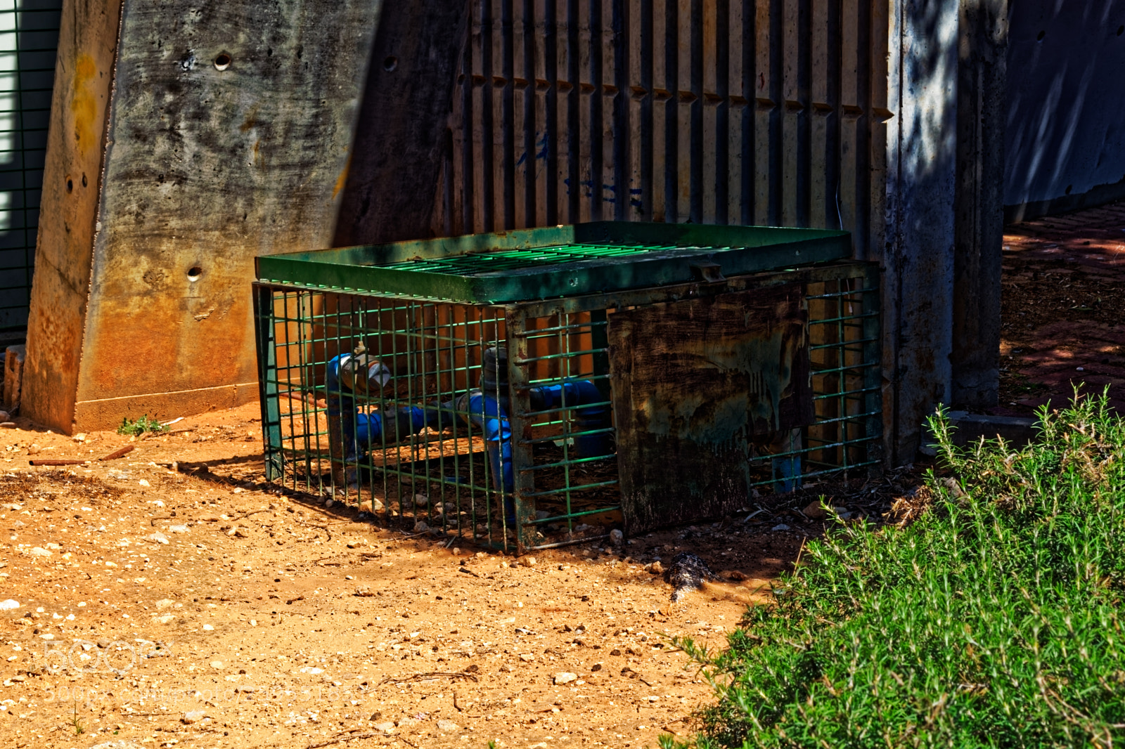 Nikon D5300 sample photo. Untitled photography