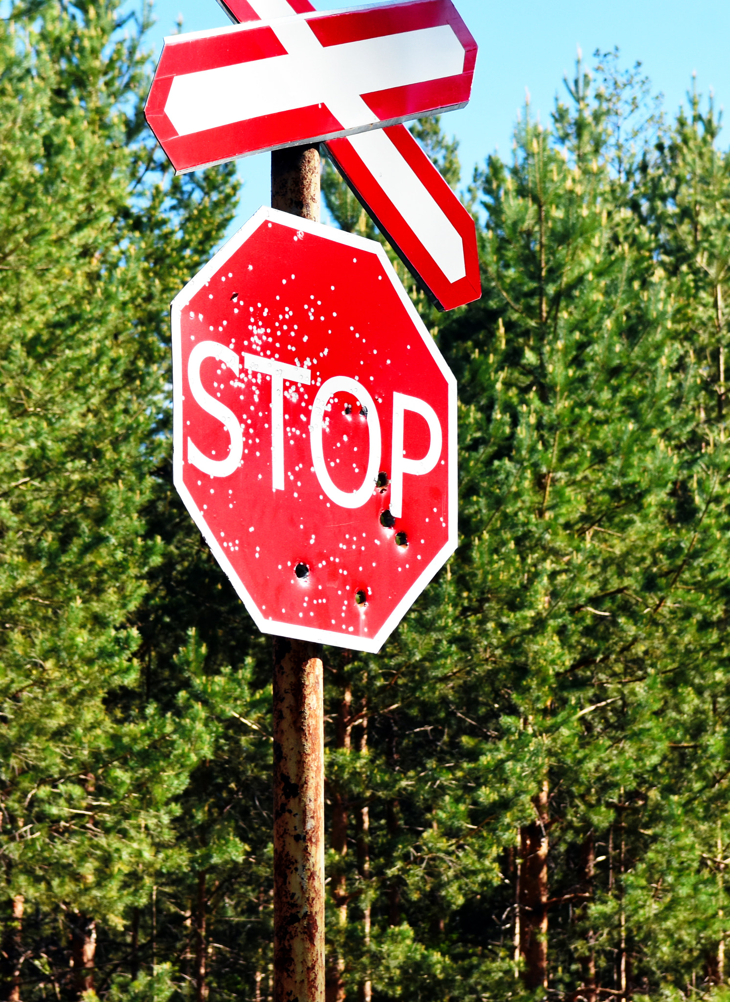 Nikon D7200 sample photo. Stop (or is it better not to stop?) photography
