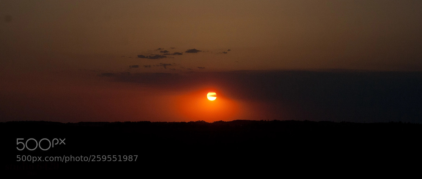 Canon EOS 350D (EOS Digital Rebel XT / EOS Kiss Digital N) sample photo. Forest fire sunset photography