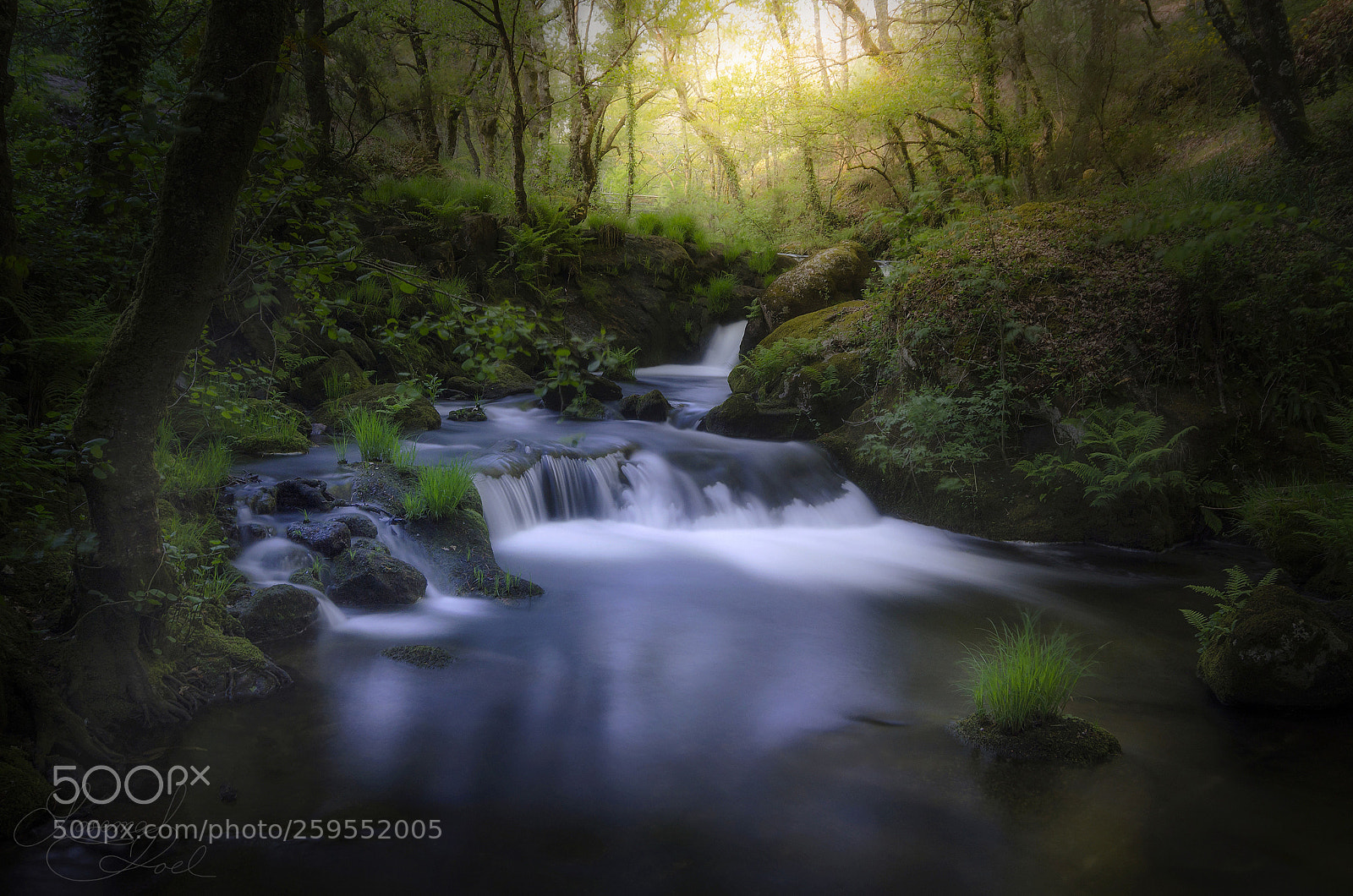 Nikon D7000 sample photo. The small waterfall photography