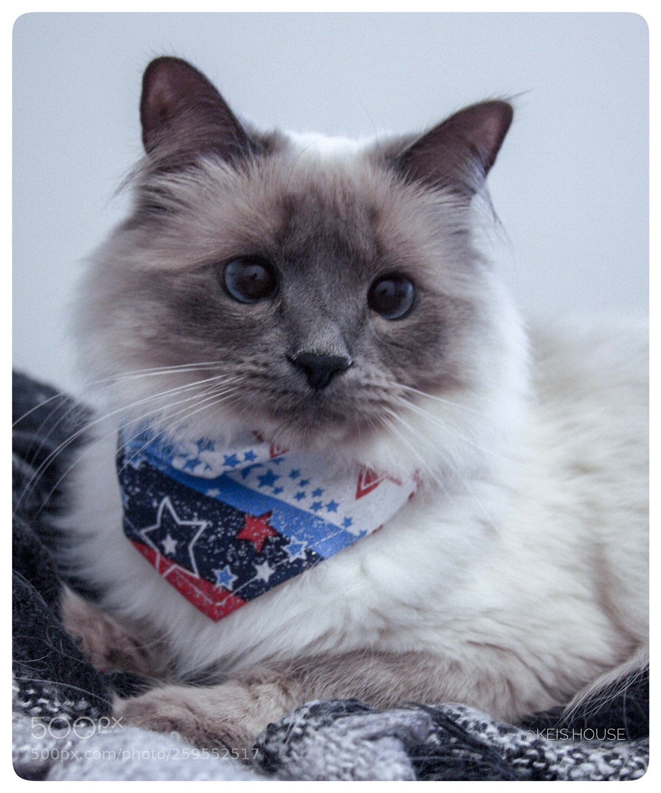 Canon EOS 40D sample photo. Helga - memorial day photography