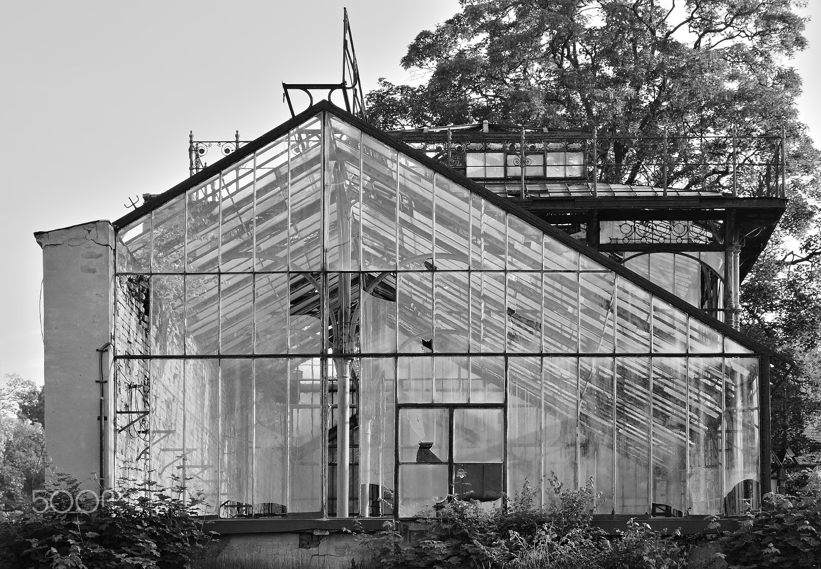 Nikon D5300 sample photo. Libesice, czech republic - may 19, 2018: torso of the greenhouse in libesice village during... photography
