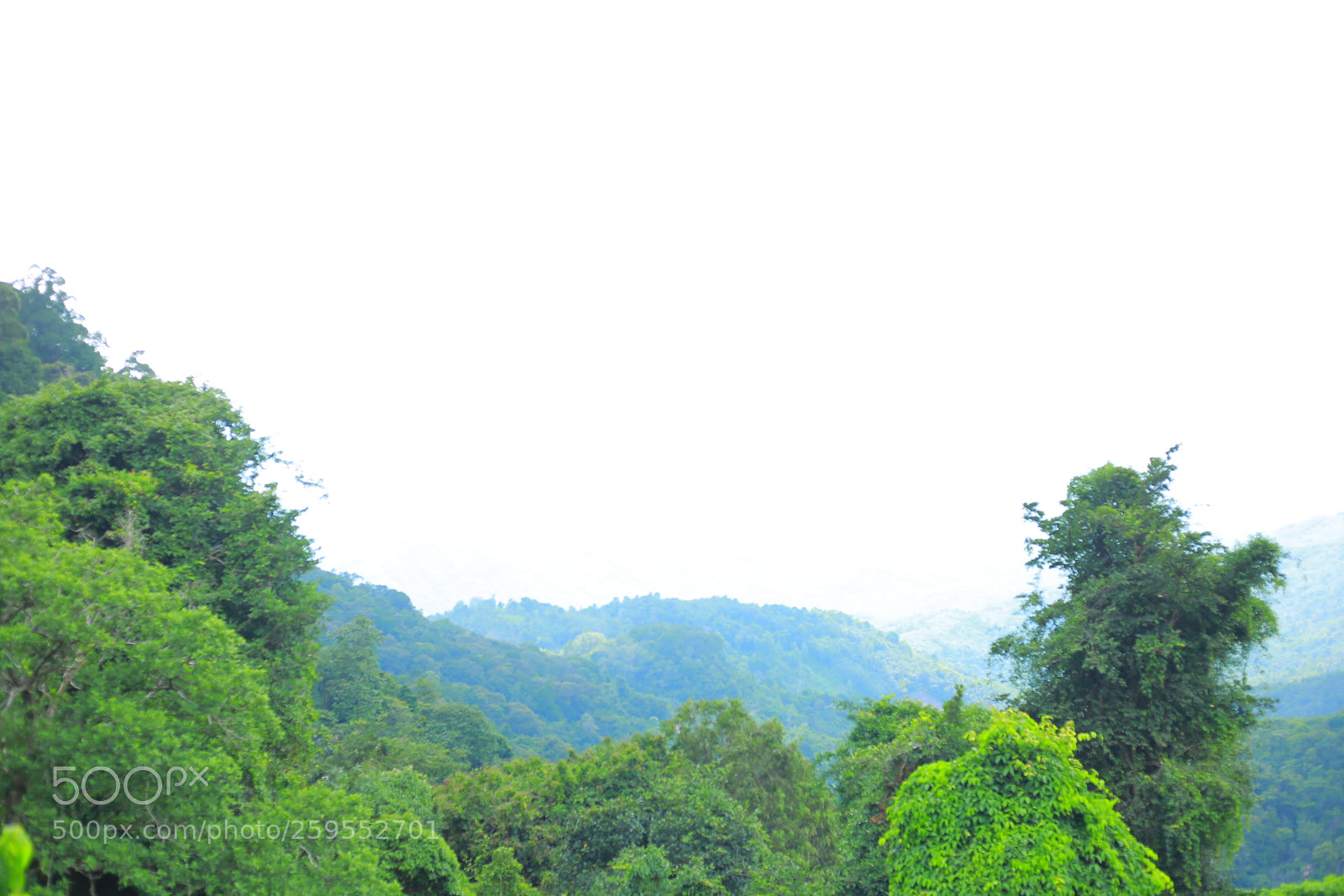 Canon EOS 6D + Canon EF 50mm F1.8 STM sample photo. Untitled photography