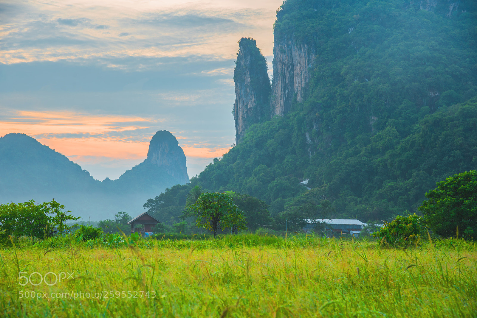 Nikon D750 sample photo. Two mountain and rice photography