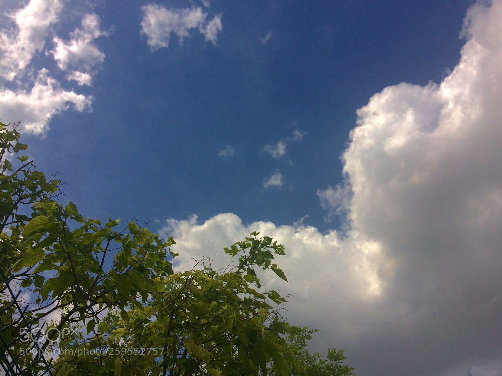 Apple iPhone 5s sample photo. Umut photography