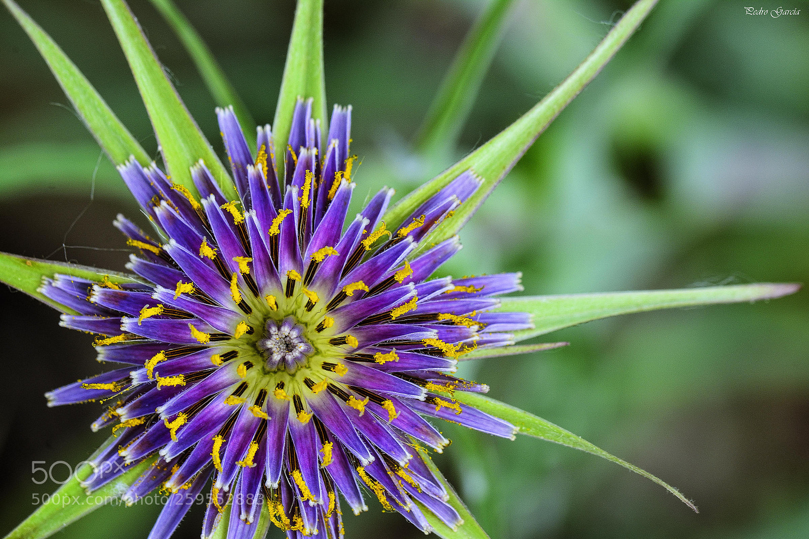 Nikon D7100 sample photo. Blue and green in photography