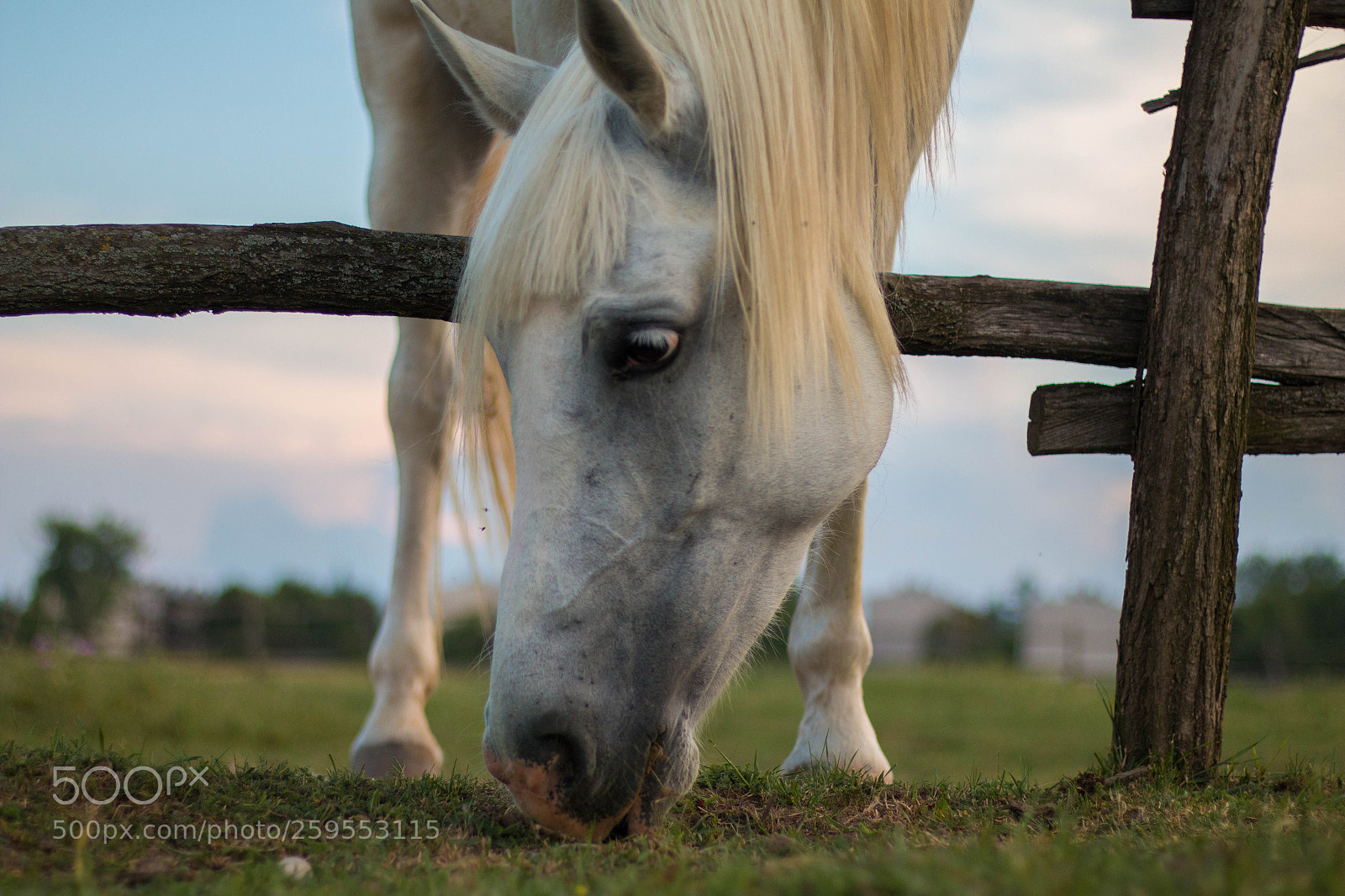 Canon EOS 70D sample photo. Img photography