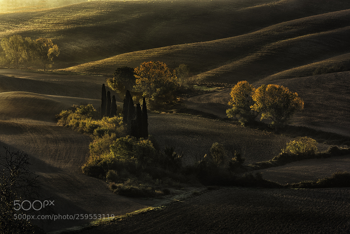 Nikon D810 sample photo. Tuscan dawn 2 photography