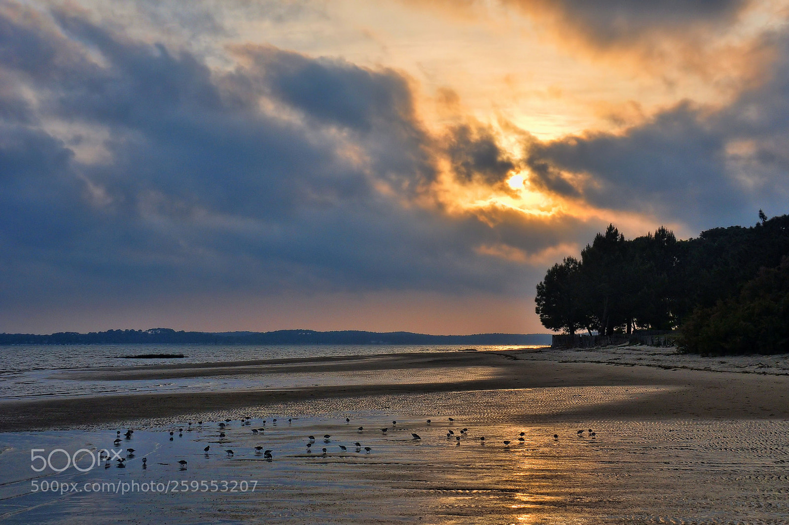 Nikon D90 sample photo. Sunset photography