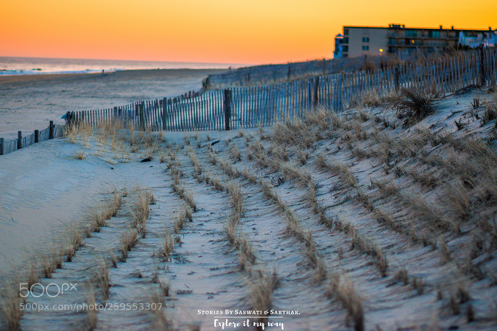 Nikon D5300 sample photo. The beach photography