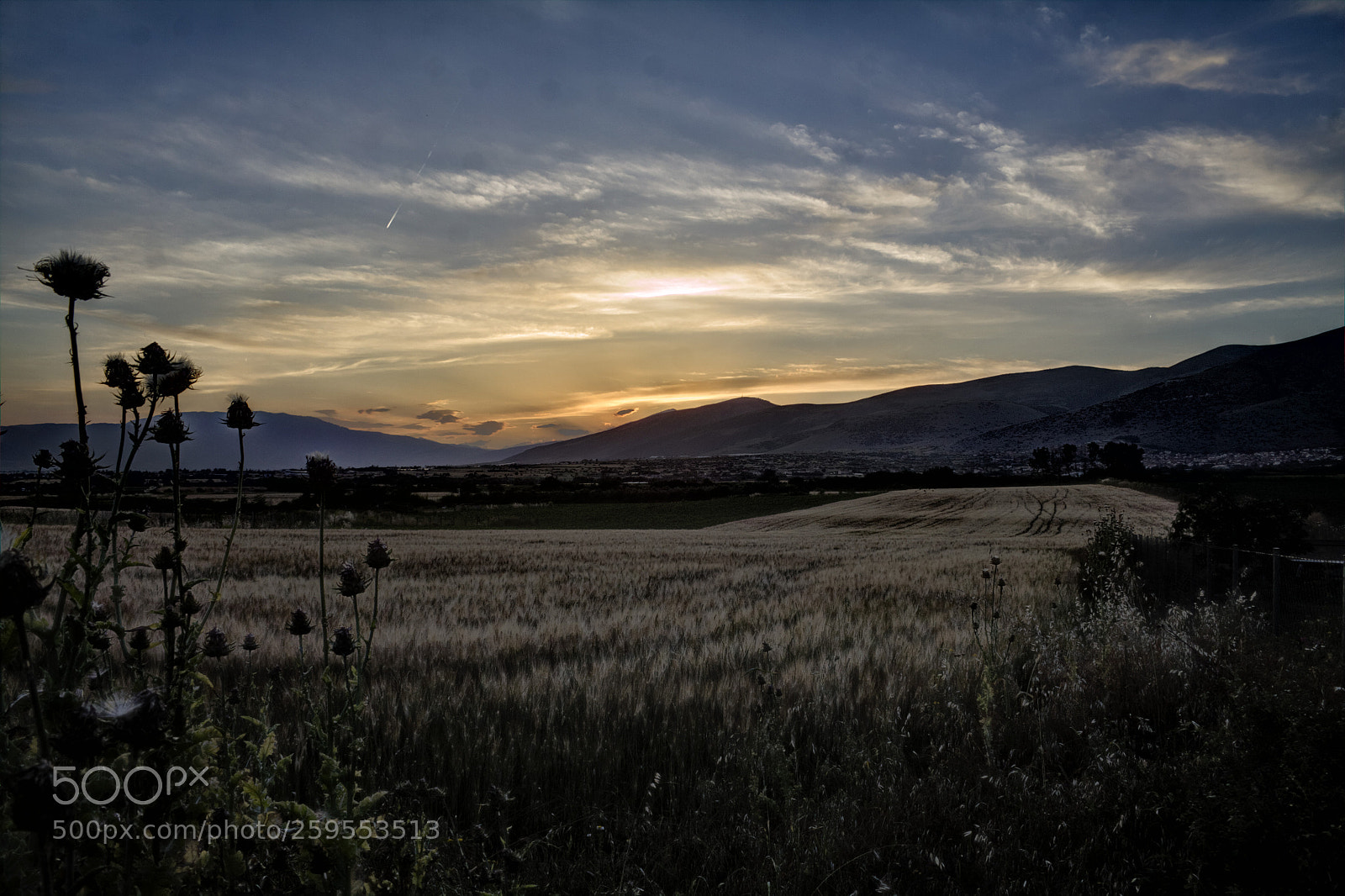 Canon EOS 50D sample photo. Sunset on the fields photography