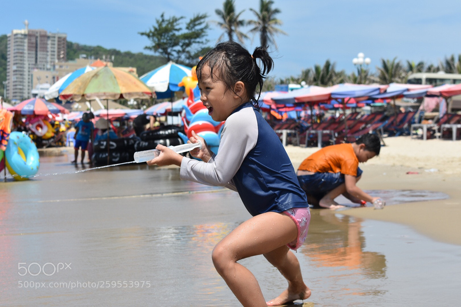 Nikon D3400 sample photo. Summer fight photography