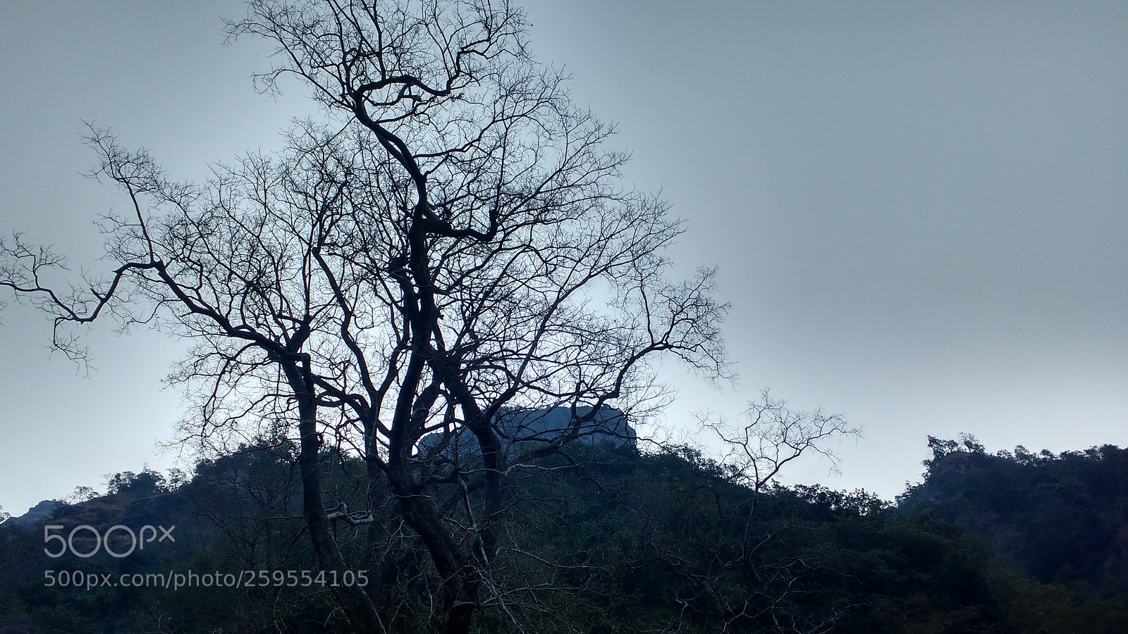 Motorola MotoG3 sample photo. Nature's sculpted photography