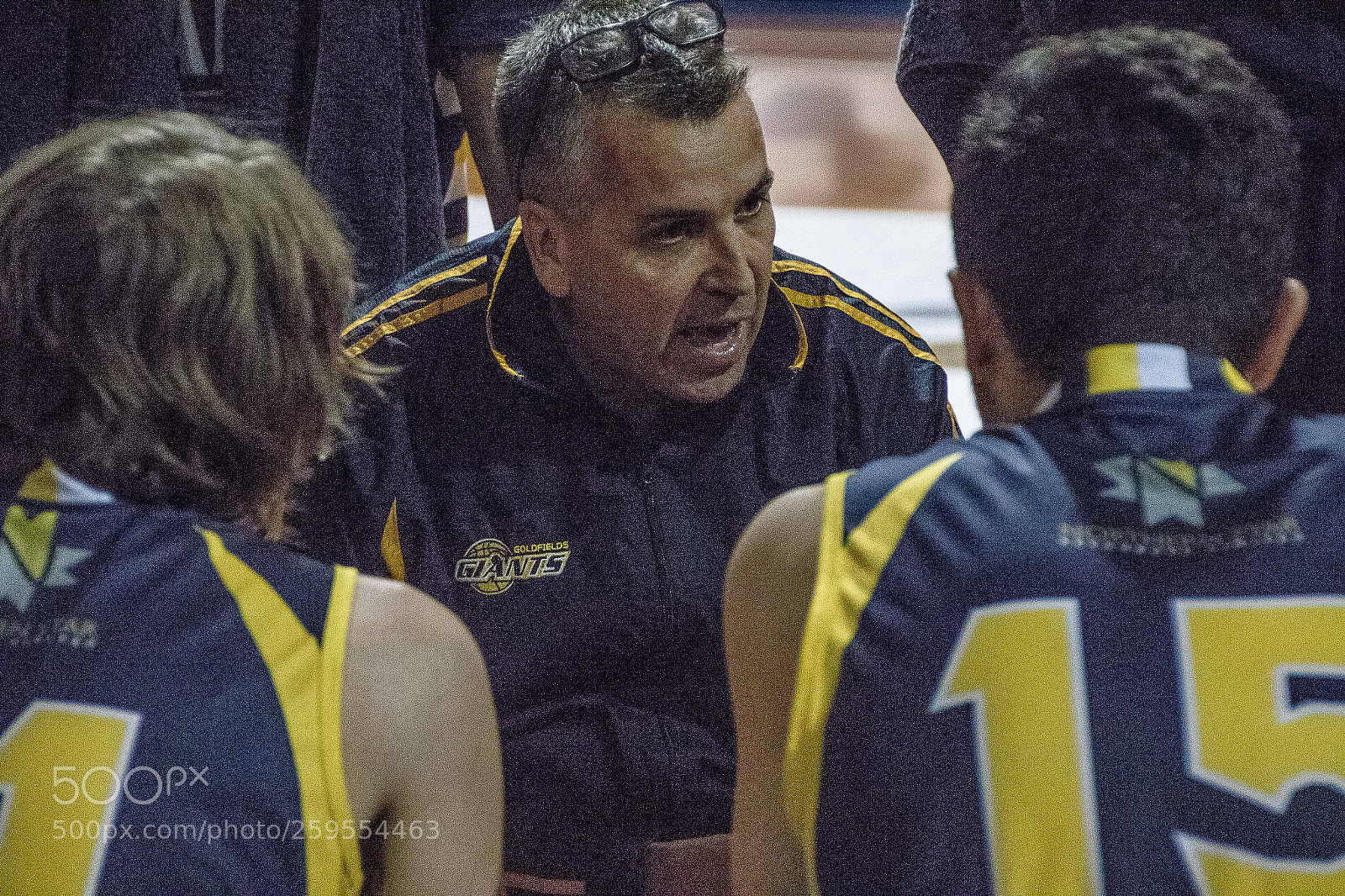 Canon EOS 7D Mark II sample photo. Goldfields giants photography