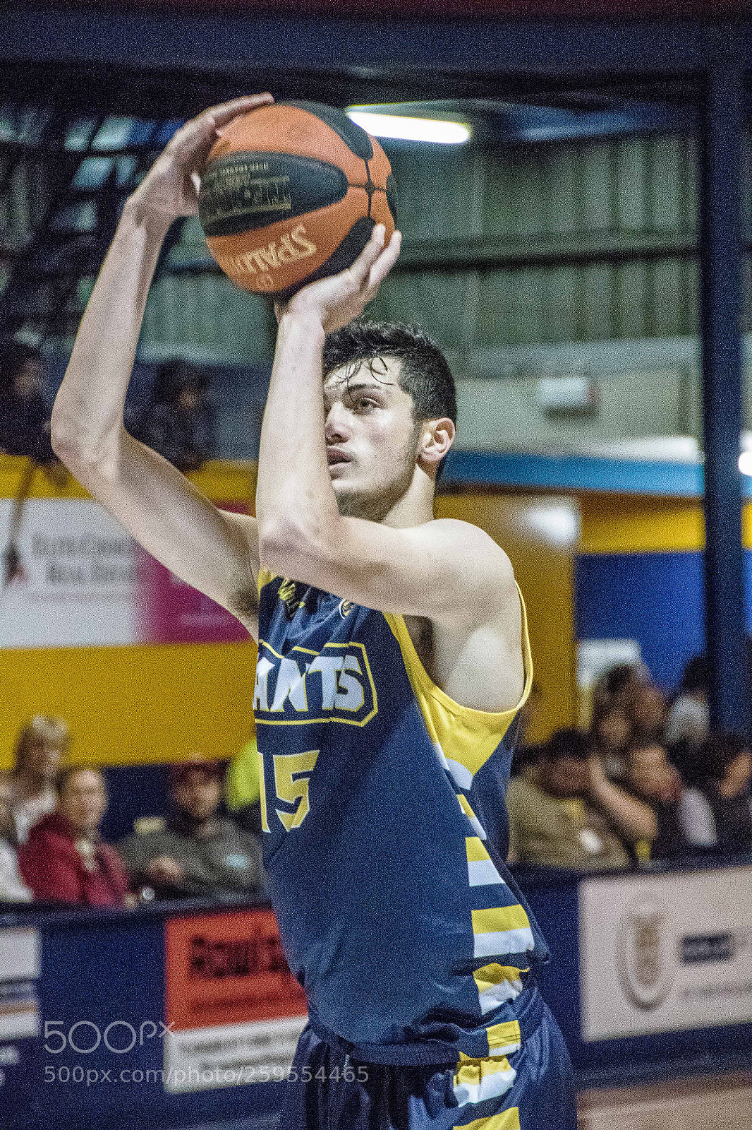 Canon EOS 7D Mark II sample photo. Goldfields giants photography