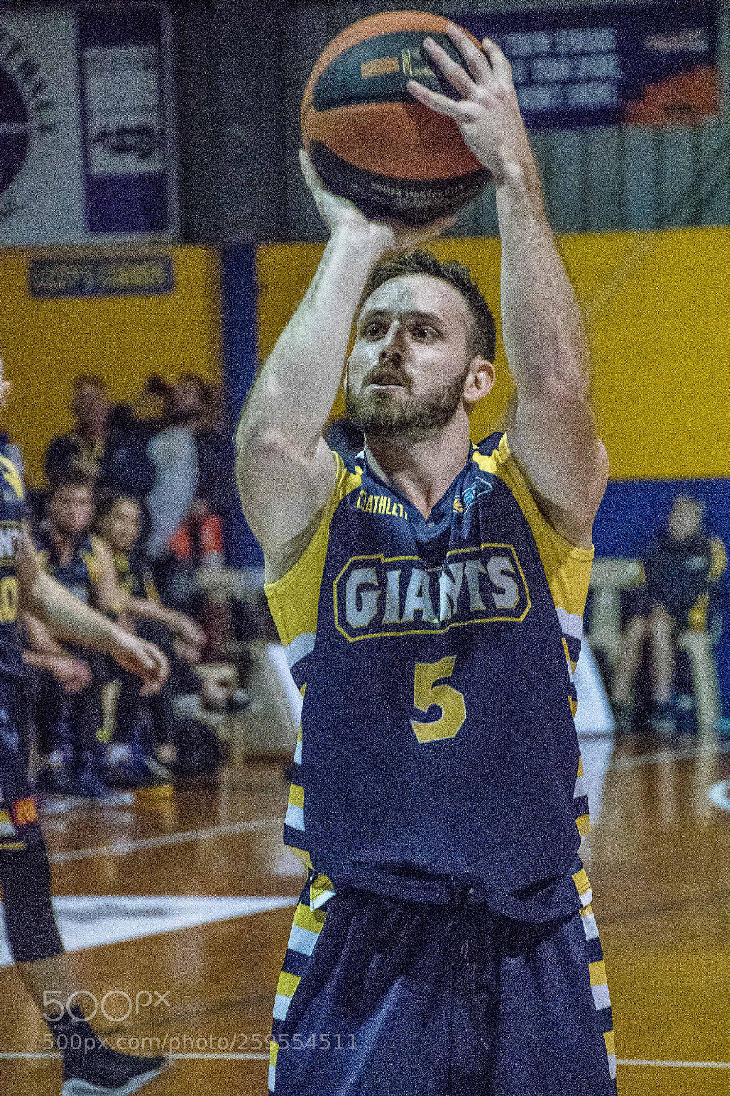 Canon EOS 7D Mark II sample photo. Goldfields giants photography