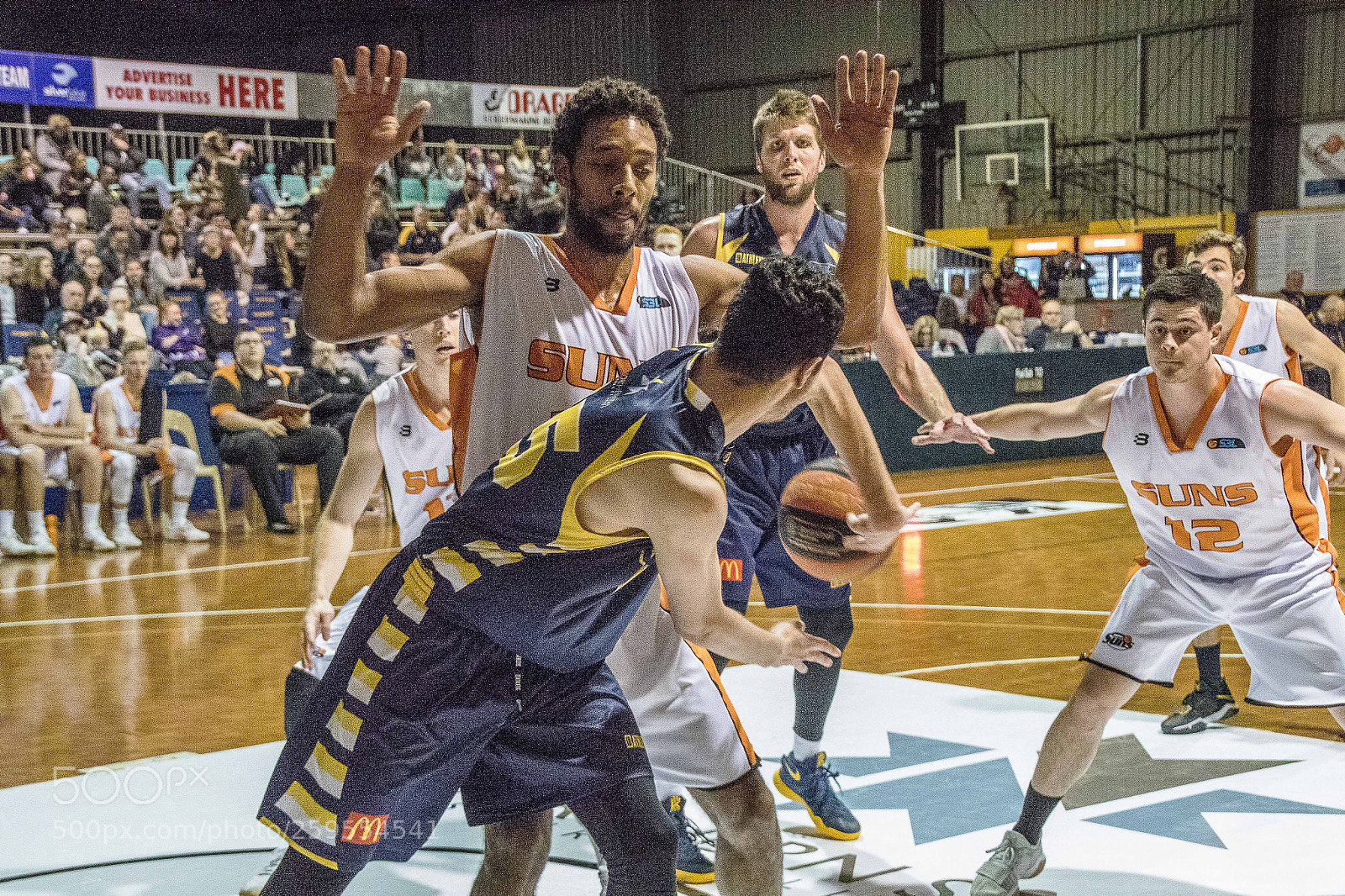 Canon EOS 7D Mark II sample photo. Goldfields giants photography