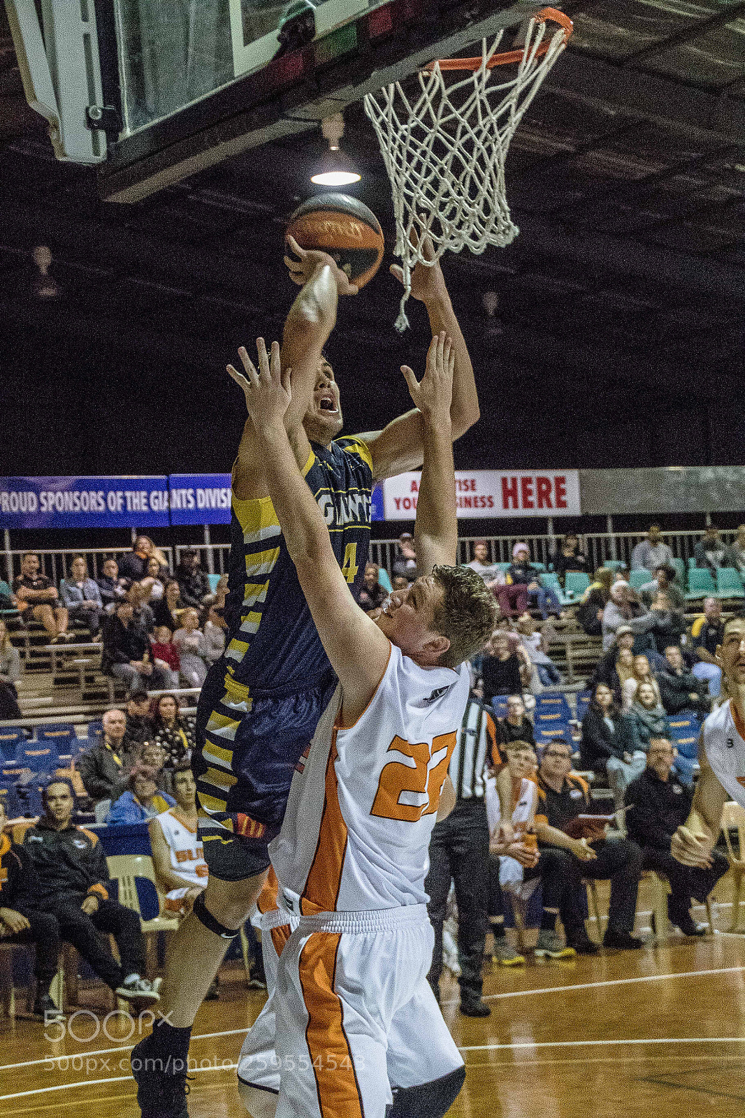 Canon EOS 7D Mark II sample photo. Goldfields giants photography