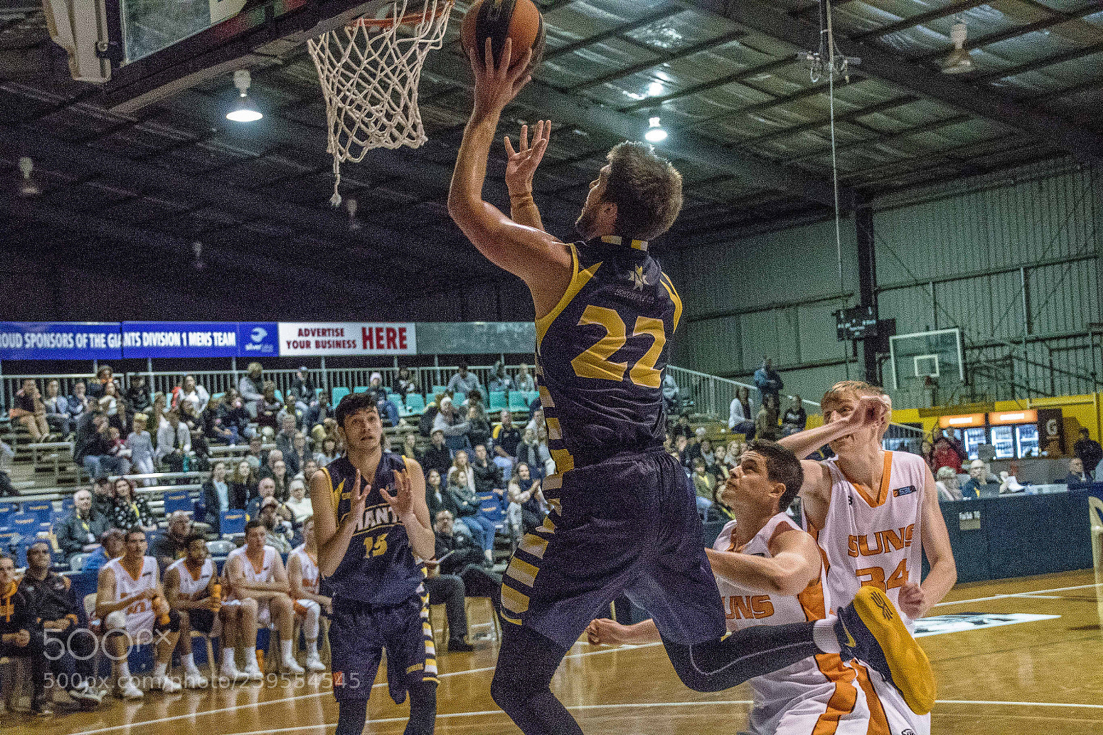 Canon EOS 7D Mark II sample photo. Goldfields giants photography