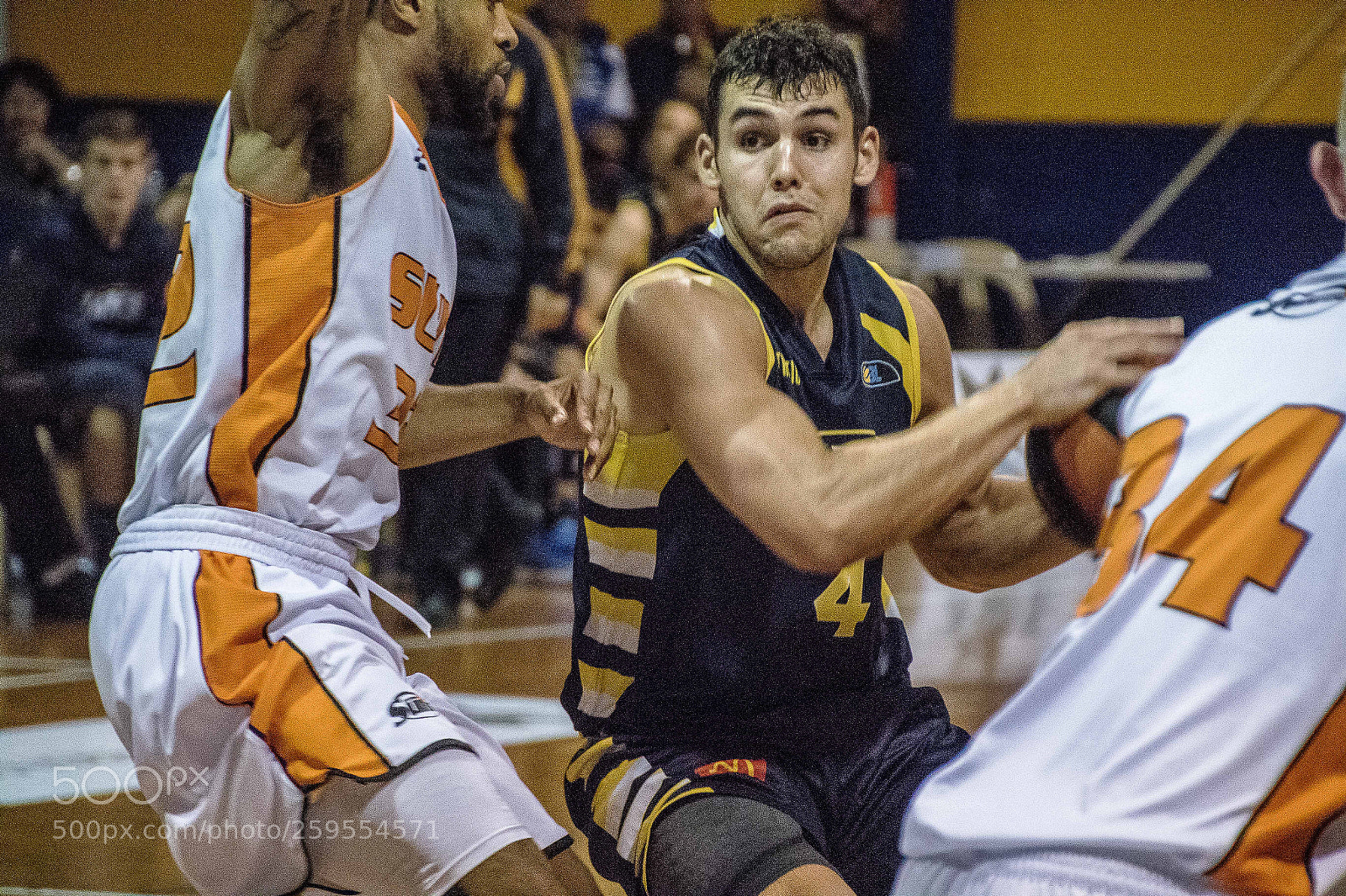 Canon EOS 7D Mark II sample photo. Goldfields giants photography