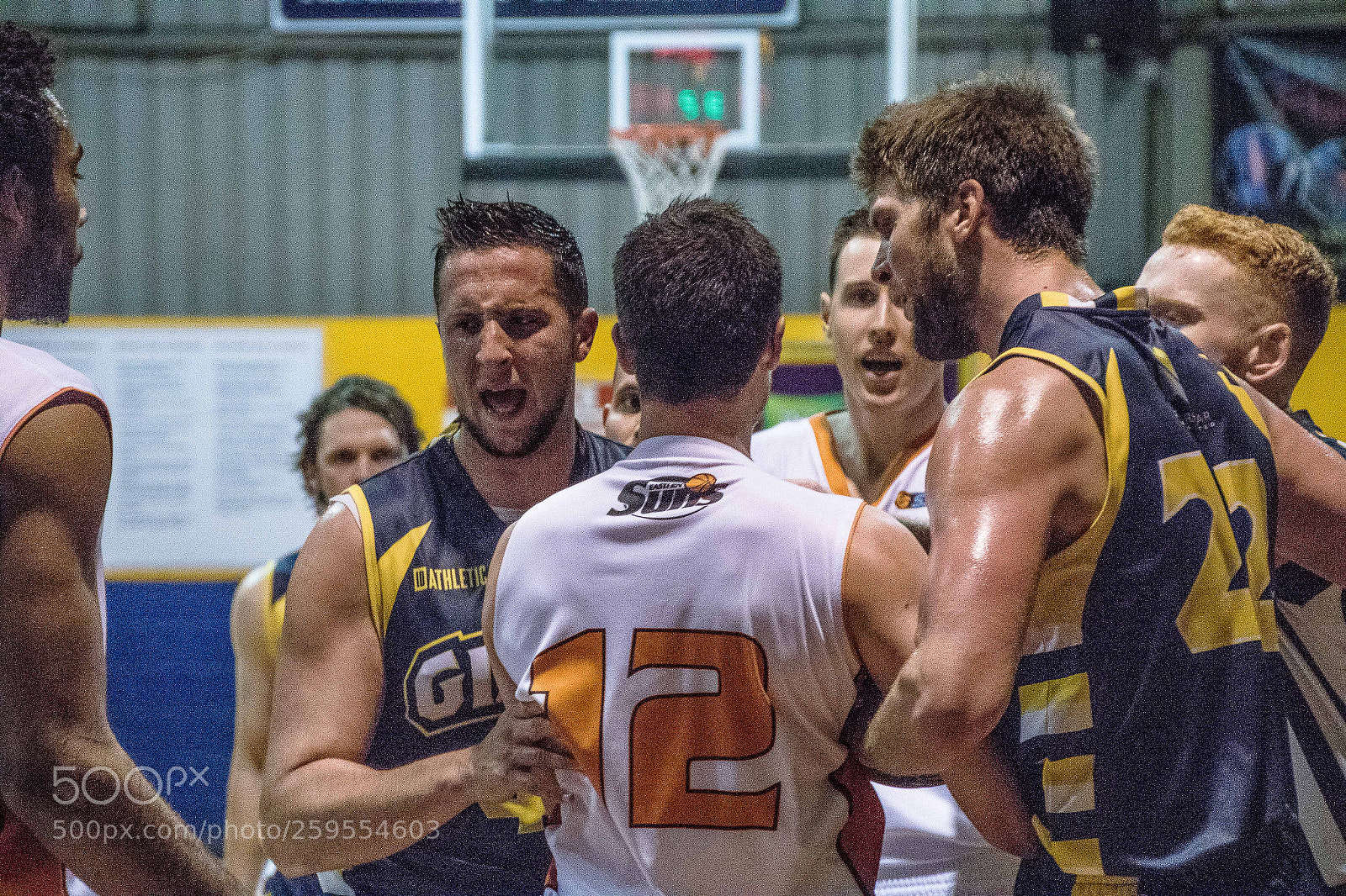 Canon EOS 7D Mark II sample photo. Goldfields giants photography
